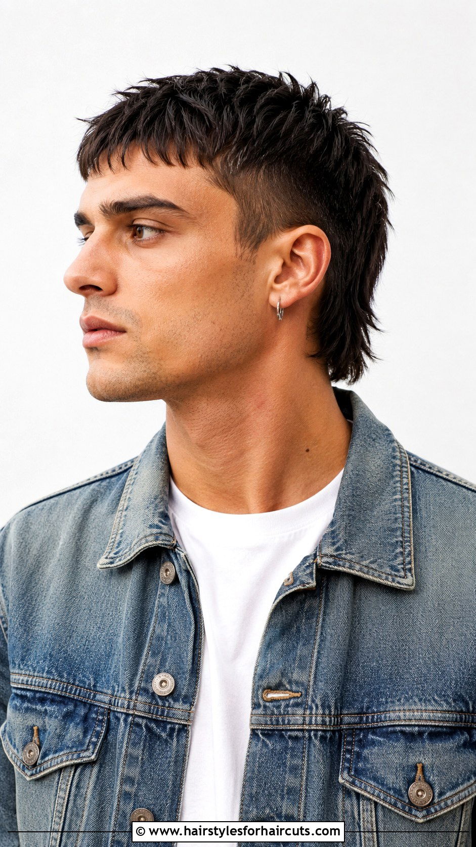 12 Guard Mullet - 25 12 guard haircuts - 25 12 guard haircuts