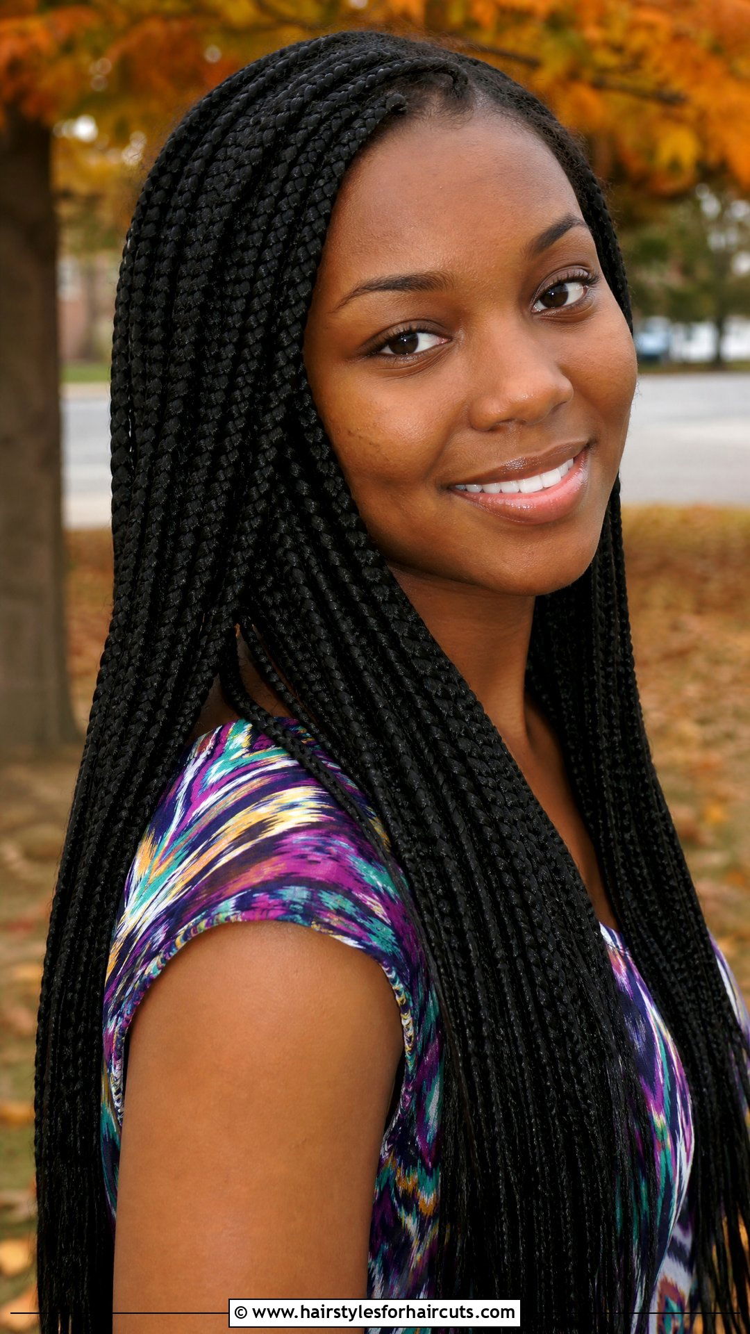 2010s Box Braids - 25 hairstyles over the years - 25 hairstyles over the years