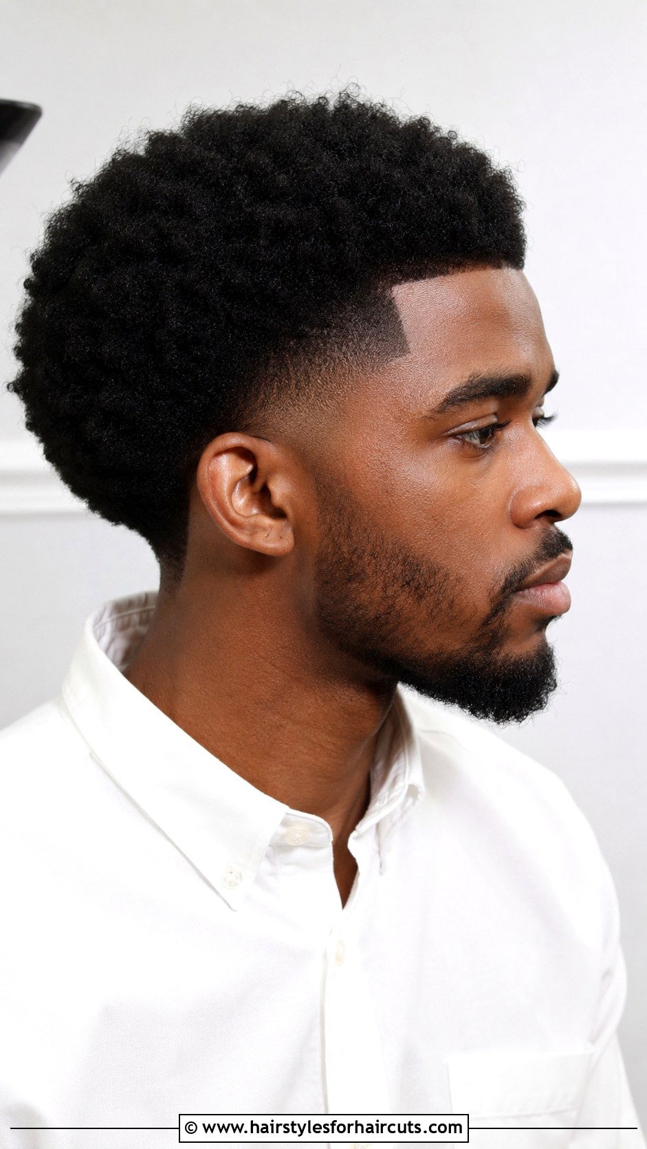 4a Temp Fade Afro - 25 4a hairstyles men - 25 4a hairstyles men