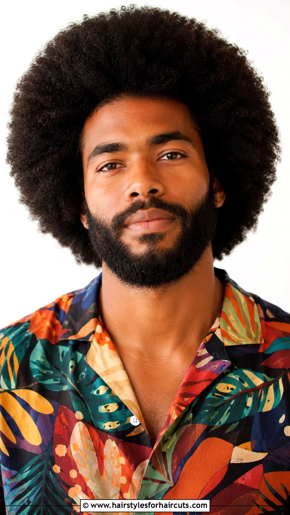 Afro Hair With Full Beard - 25 bear haircuts - 25 bear haircuts