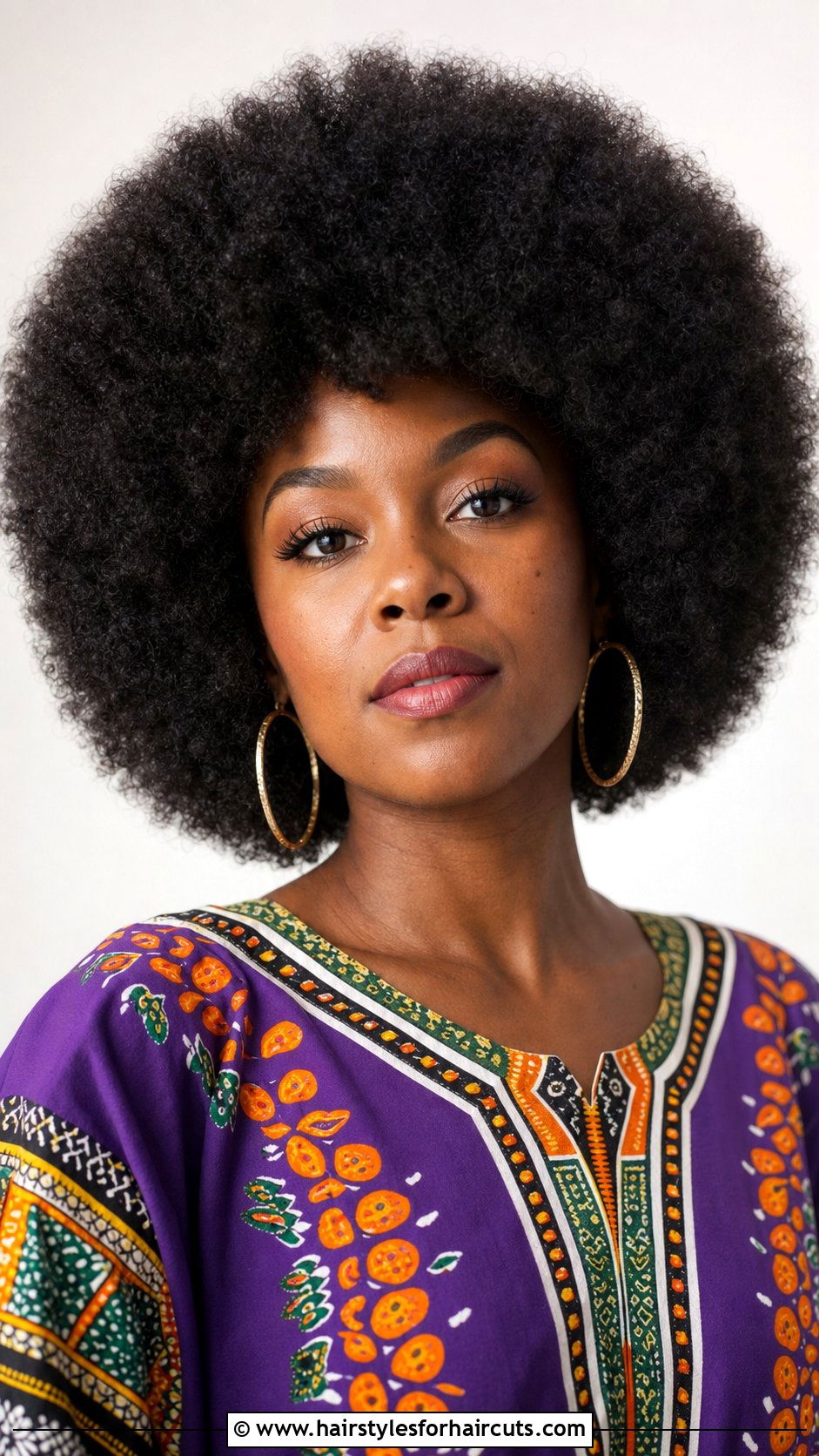 Afro Hairstyle - 25 hairstyles in the 60s - 25 hairstyles in the 60s
