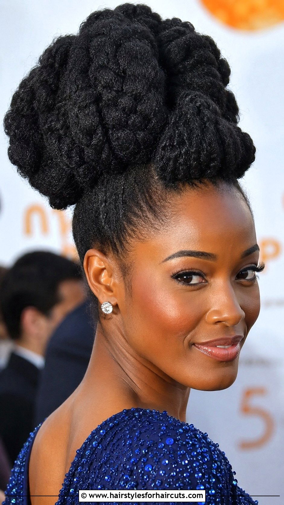 Afro Kinky Clip In Updo - 25 clip in hairstyles african american - 25 clip in hairstyles african american