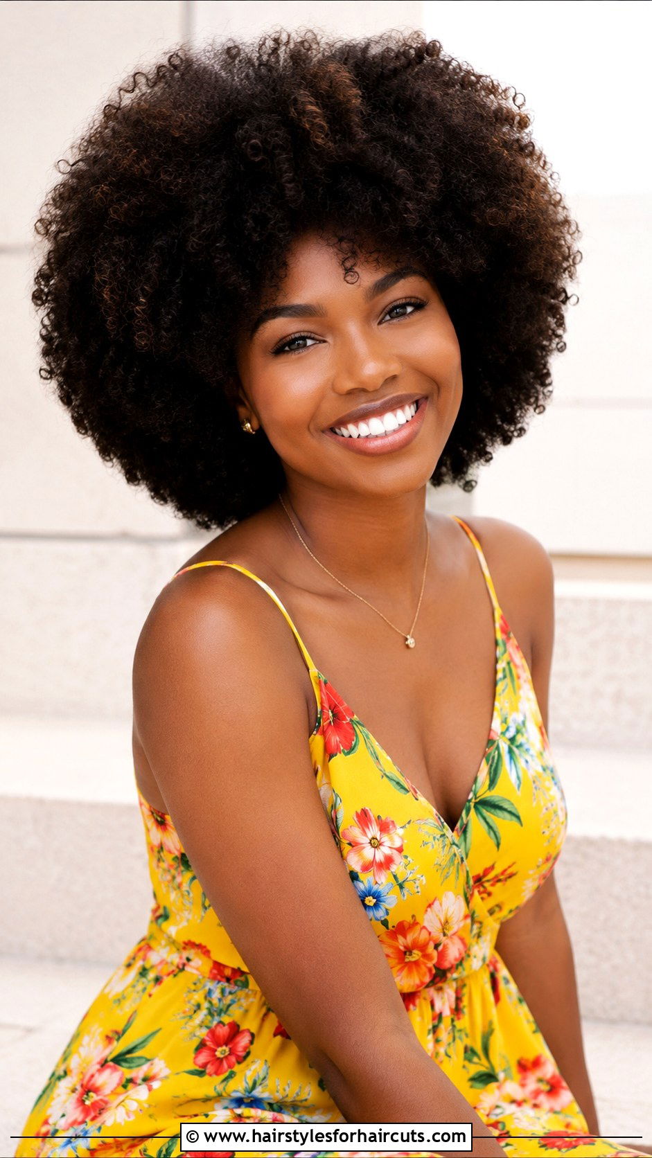 Afro - 25 beautiful black hairstyles - 25 beautiful black hairstyles