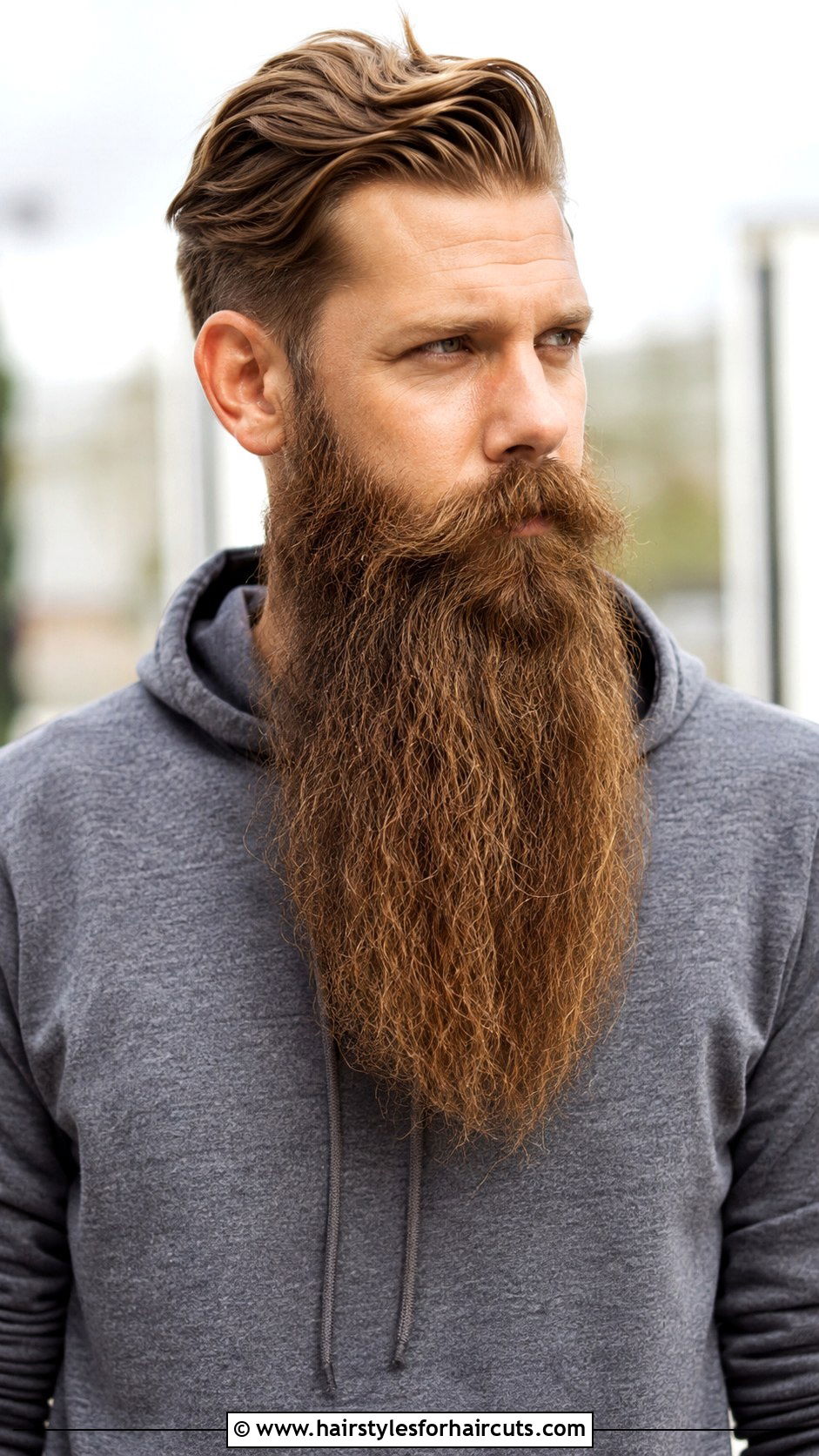 Bandholz Beard - 25 facial hairstyles chart - 25 facial hairstyles chart