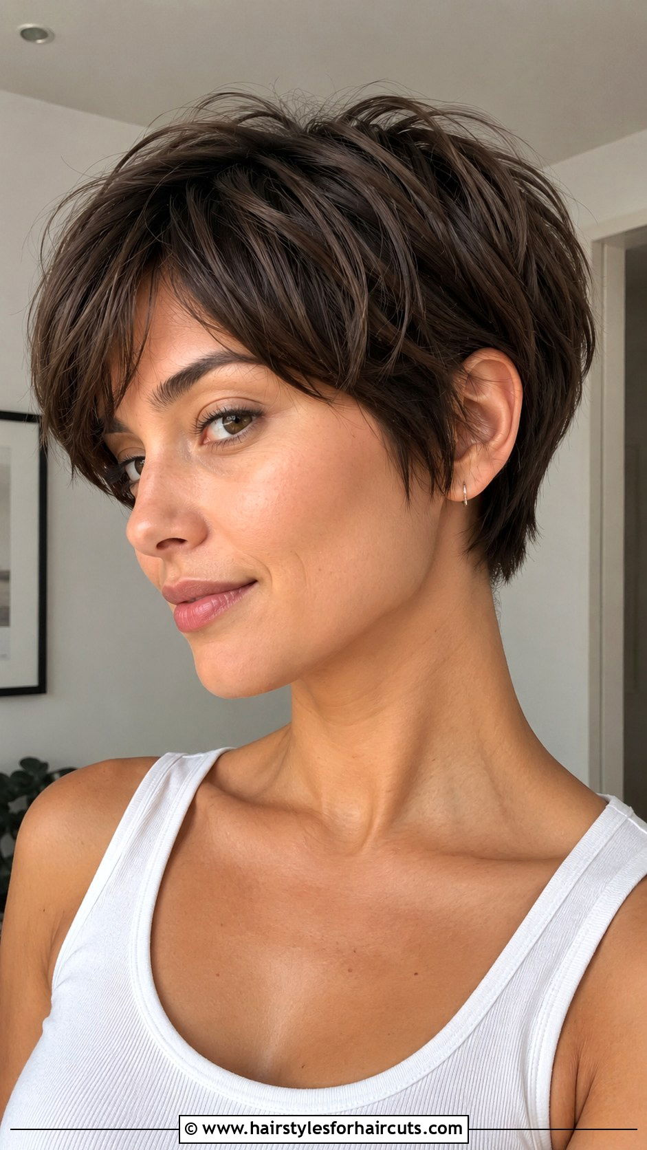 Bixie Type 4 Haircut - 25 4 haircuts - 25 4 haircuts