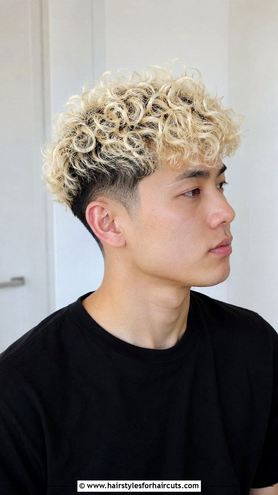 Bleached Curly Two Block - 25 2 block haircuts curly hair - 25 2 block haircuts curly hair