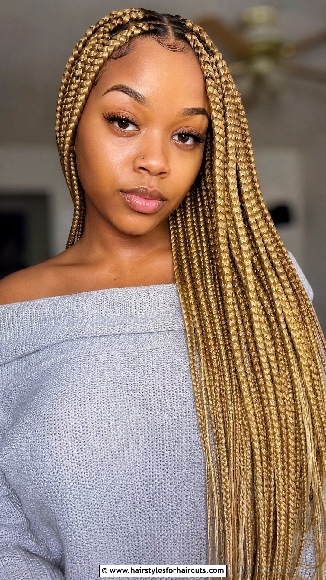 Blonde Box Braids - 25 black hair hairstyles braids - 25 black hair hairstyles braids