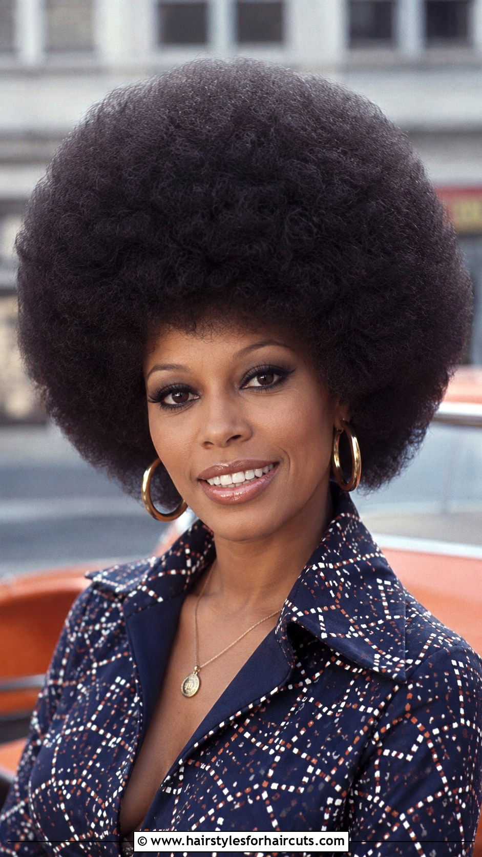 Blowout Afro - 25 ebony hairstyles - 25 ebony hairstyles