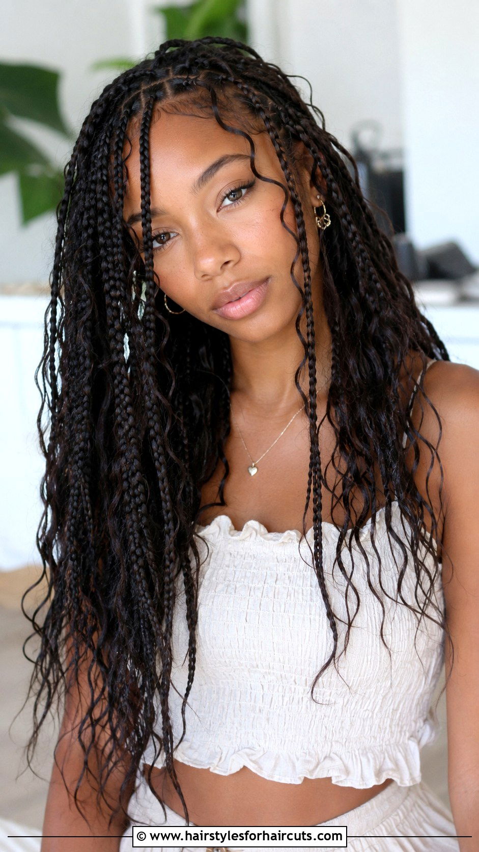 Bohemian Box Braids - 25 birthday hairstyles for black girl natural hair - 25 birthday hairstyles for black girl natural hair