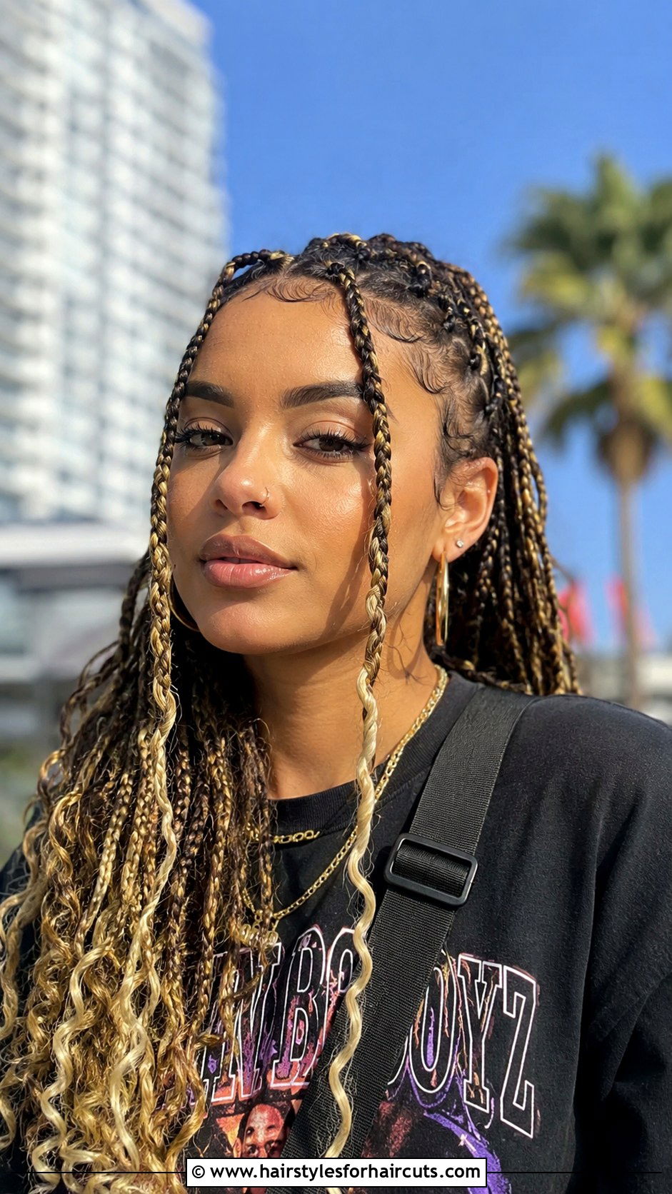 Boho Braids With Color - 25 boho braids hairstyles black hair - 25 boho braids hairstyles black hair