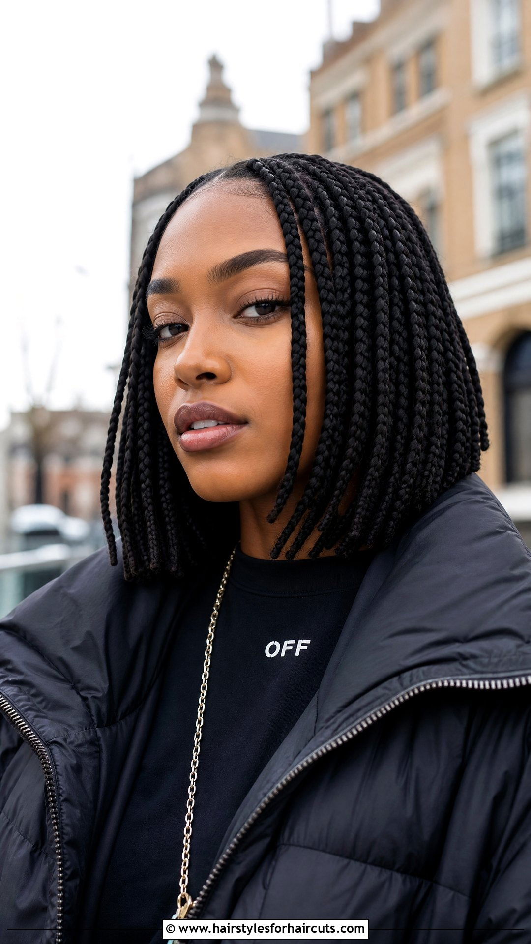 Box Braid Bob - 25 hairstyles with a braid - 25 hairstyles with a braid