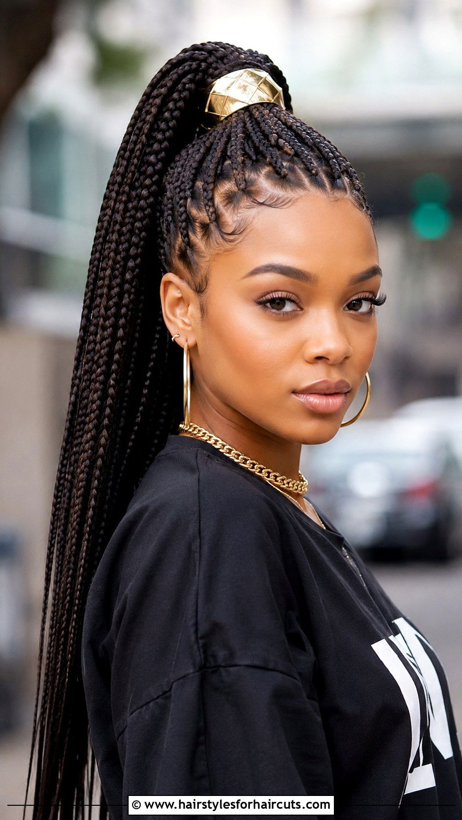 Box Braid Ponytail - 25 quick braid hairstyles - 25 quick braid hairstyles