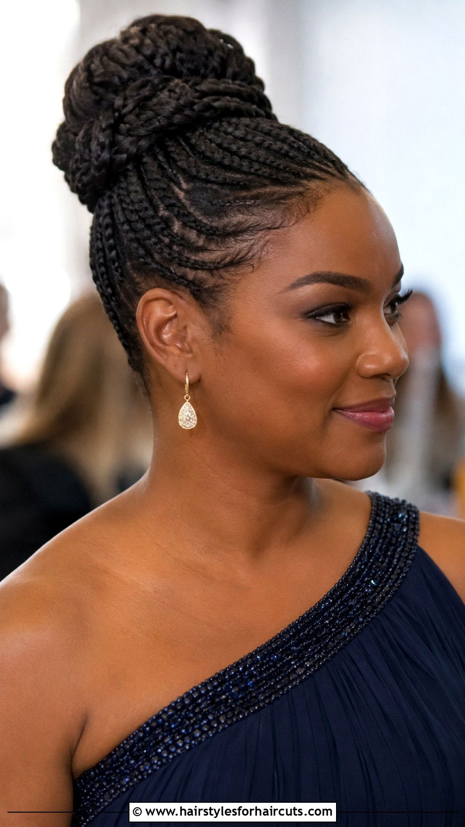 Braided Updo - 25 black hairstyles names - 25 black hairstyles names