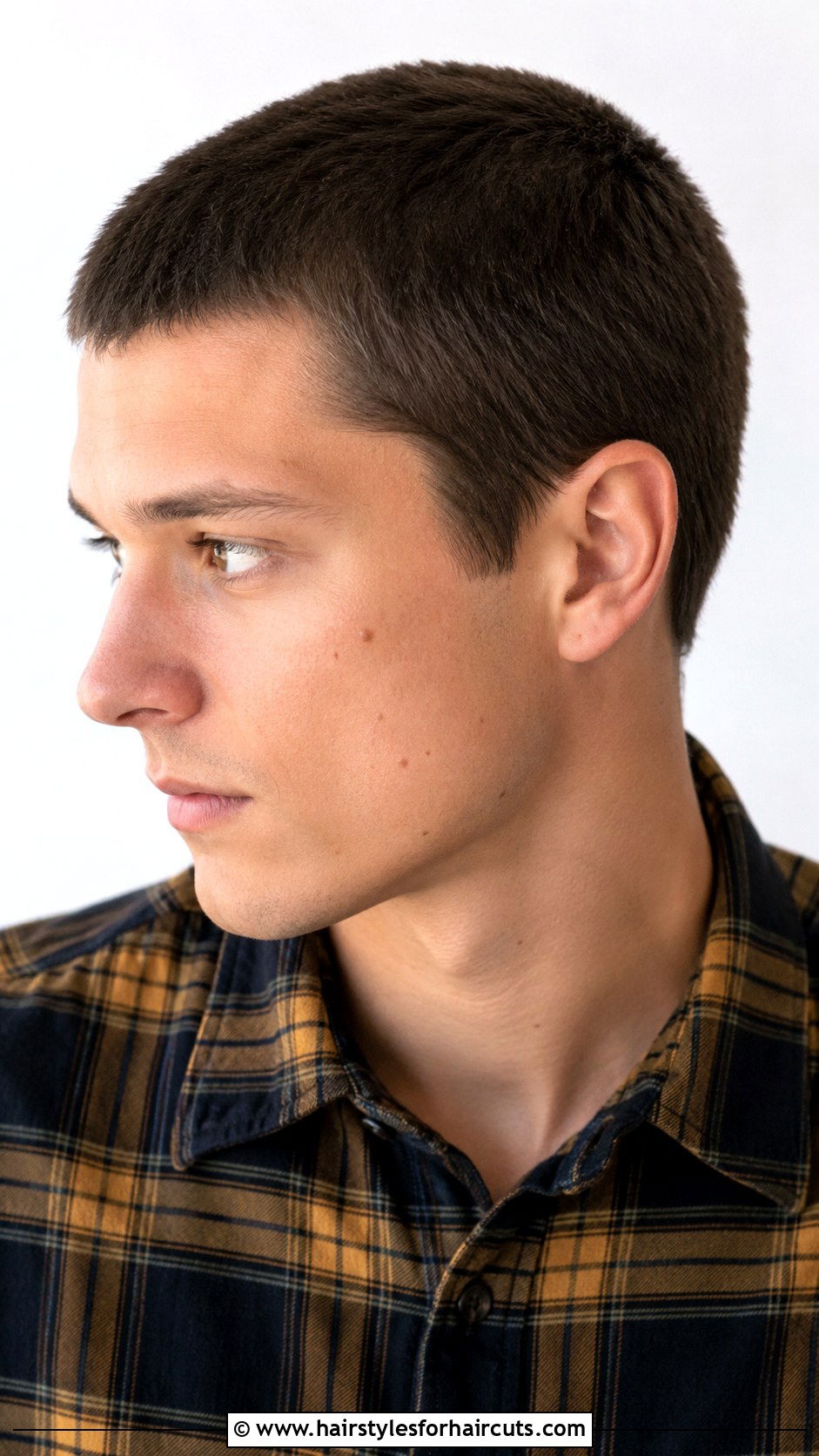 Butch Cut - 25 basic mens haircuts - 25 basic mens haircuts