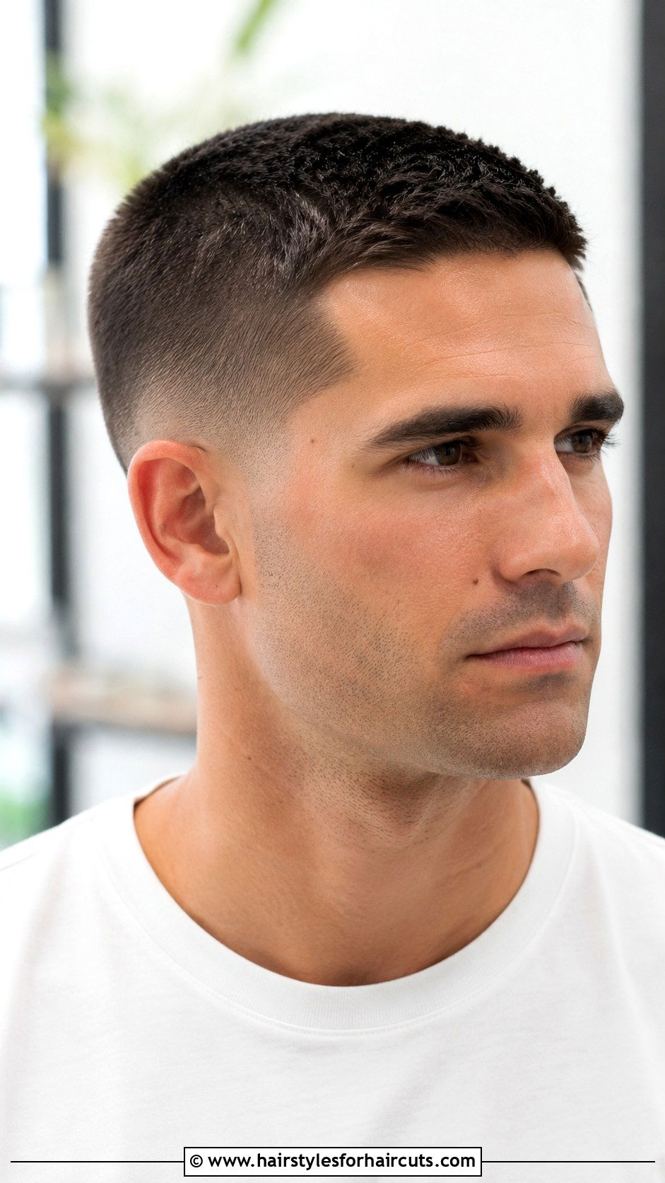 Caesar Cut Carlsbad NM - 25 haircuts carlsbad nm - 25 haircuts carlsbad nm
