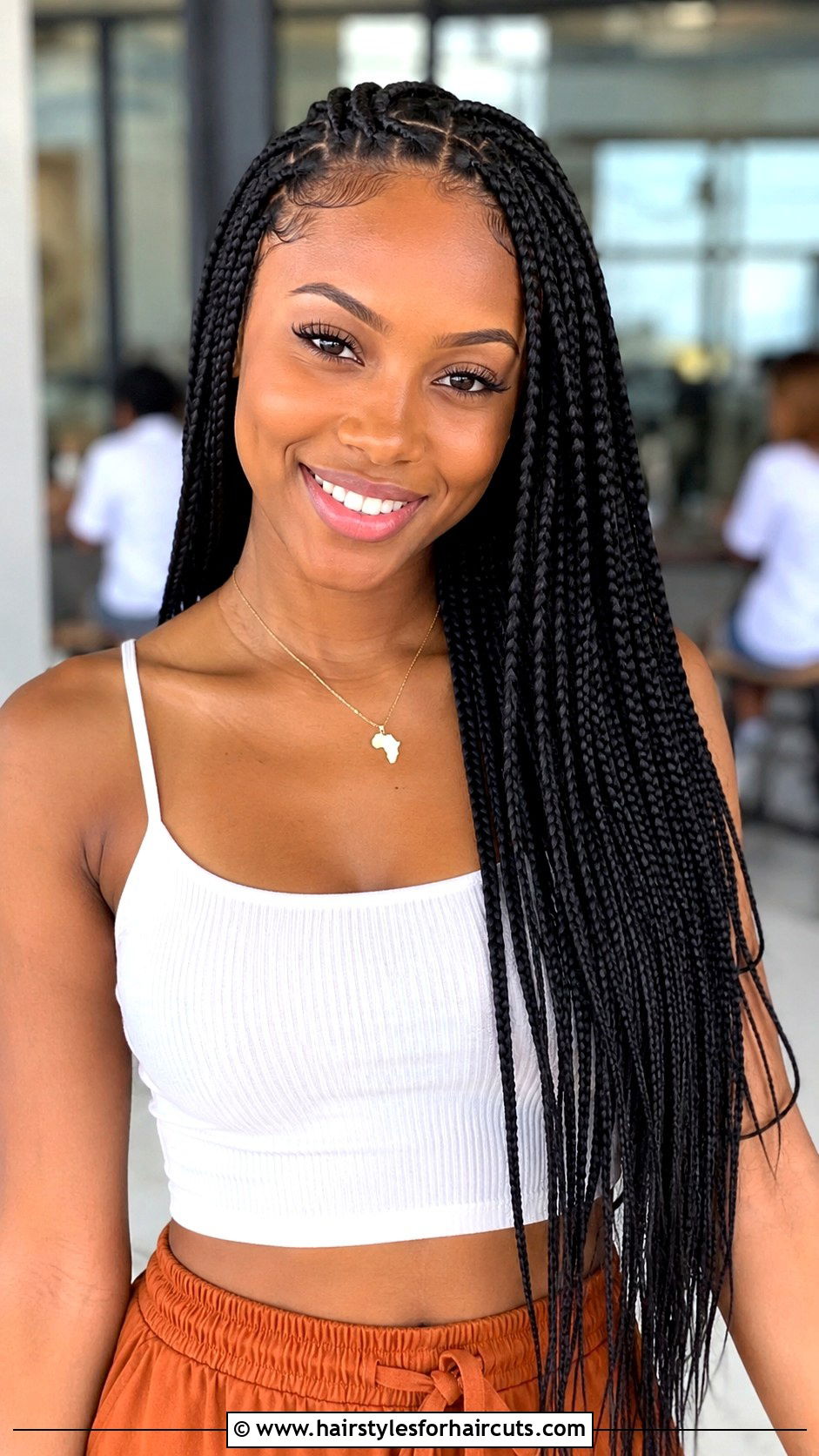 Cheap Box Braids - 25 cheap hairstyles for black hair - 25 cheap hairstyles for black hair