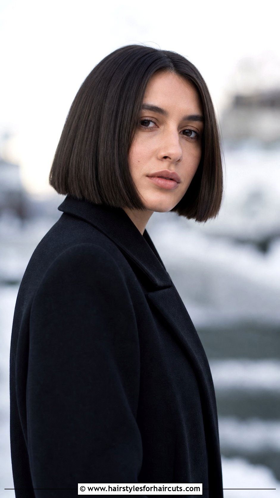 Chin Length Blunt Cut - 25 haircuts thick straight hair - 25 haircuts thick straight hair