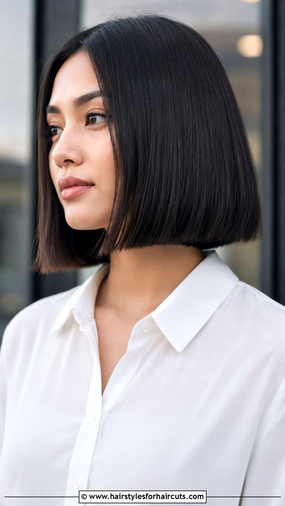Classic Blunt Bob - 25 bob haircuts dark hair - 25 bob haircuts dark hair