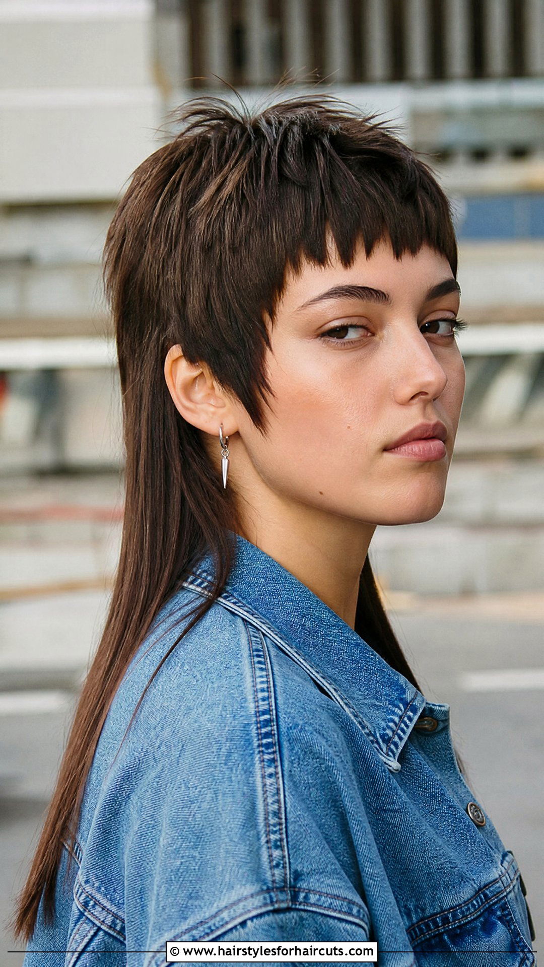 Classic Mullet For Straight Hair - 25 mullet haircuts for straight hair - 25 mullet haircuts for straight hair
