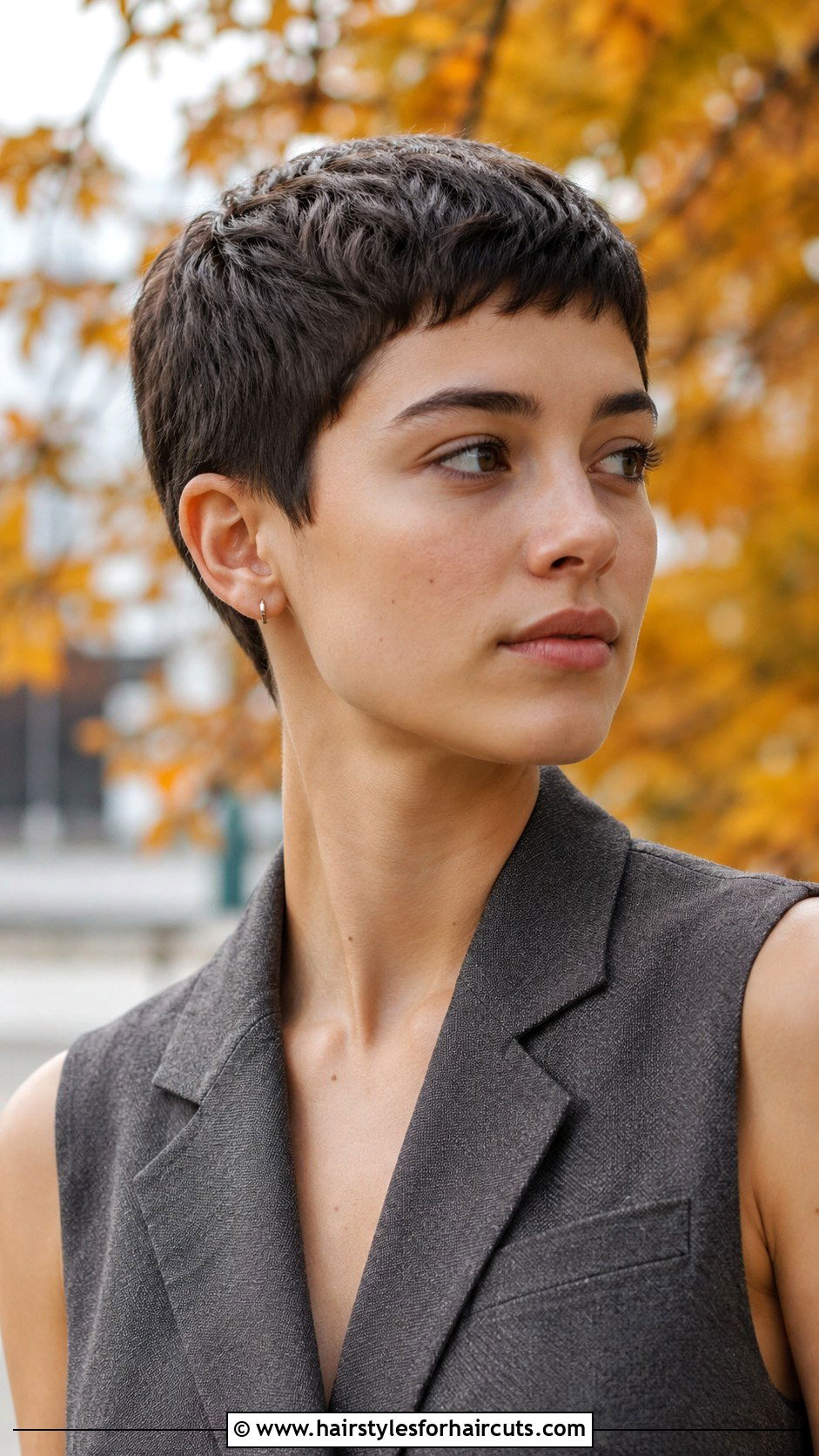 Classic Pixie Cut - 25 hairstyles for super short hair - 25 hairstyles for super short hair