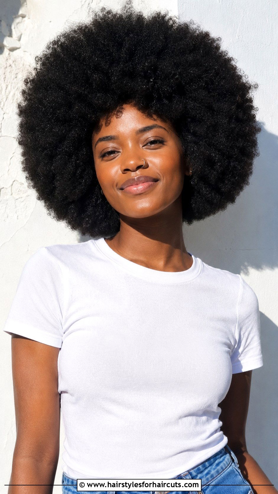 Classic Round Afro - 25 afro hair hairstyles - 25 afro hair hairstyles