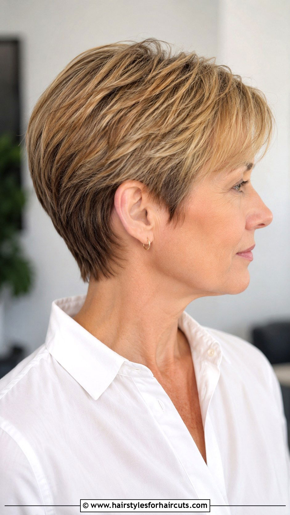 Classic Tapered Cut - 25 haircuts greenwood - 25 haircuts greenwood