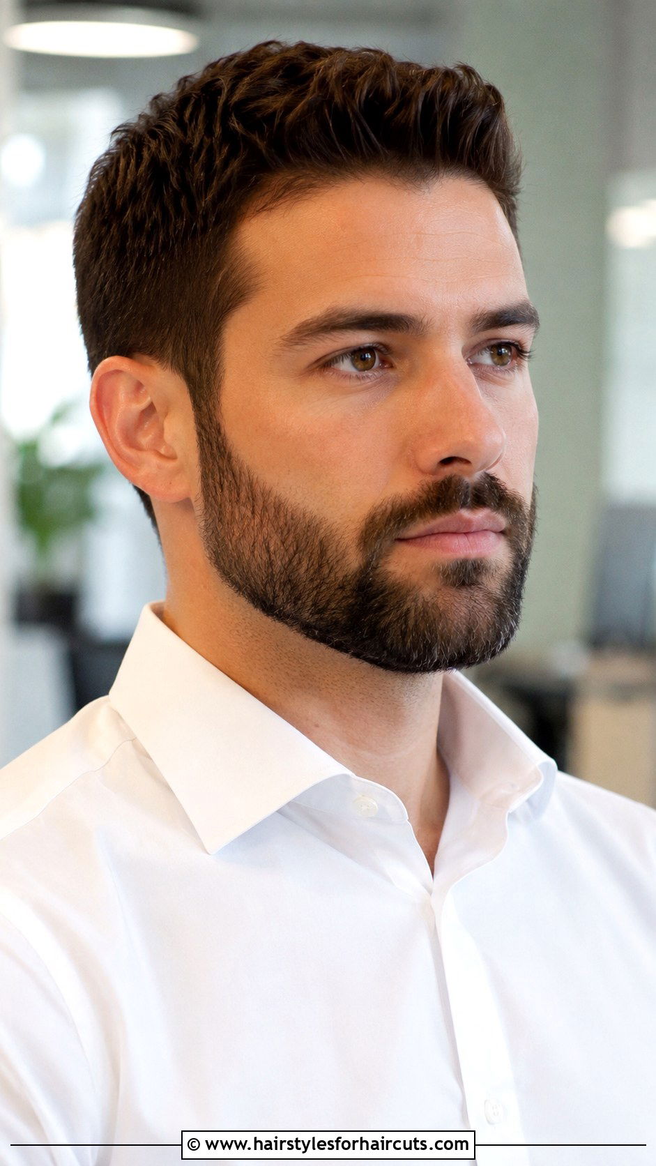 Corporate Beard - 25 facial hairstyles - 25 facial hairstyles