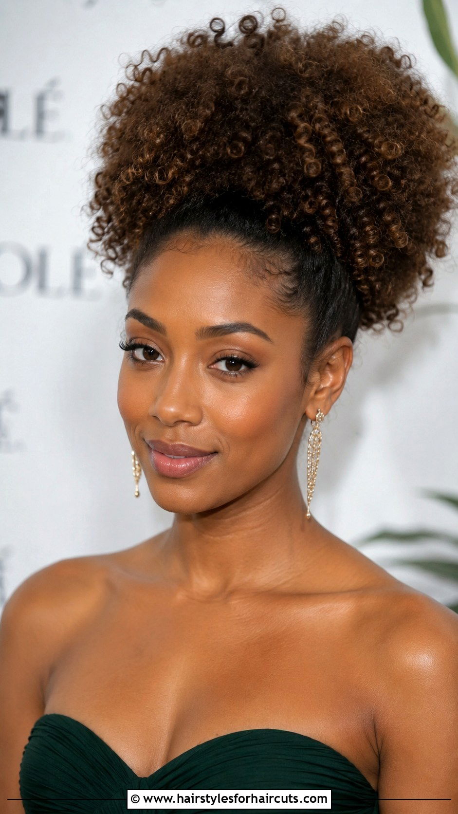 Curly Afro Puff - 25 prom hairstyles brown hair - 25 prom hairstyles brown hair