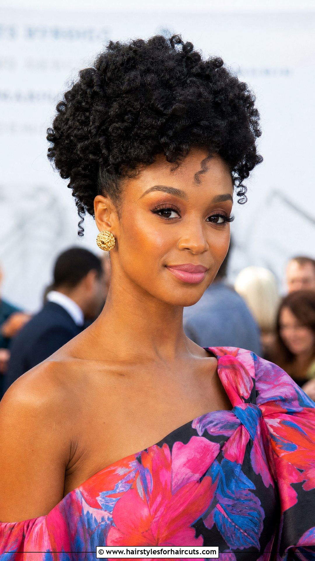 Curly Afro Updo - 25 formal hairstyles - 25 formal hairstyles