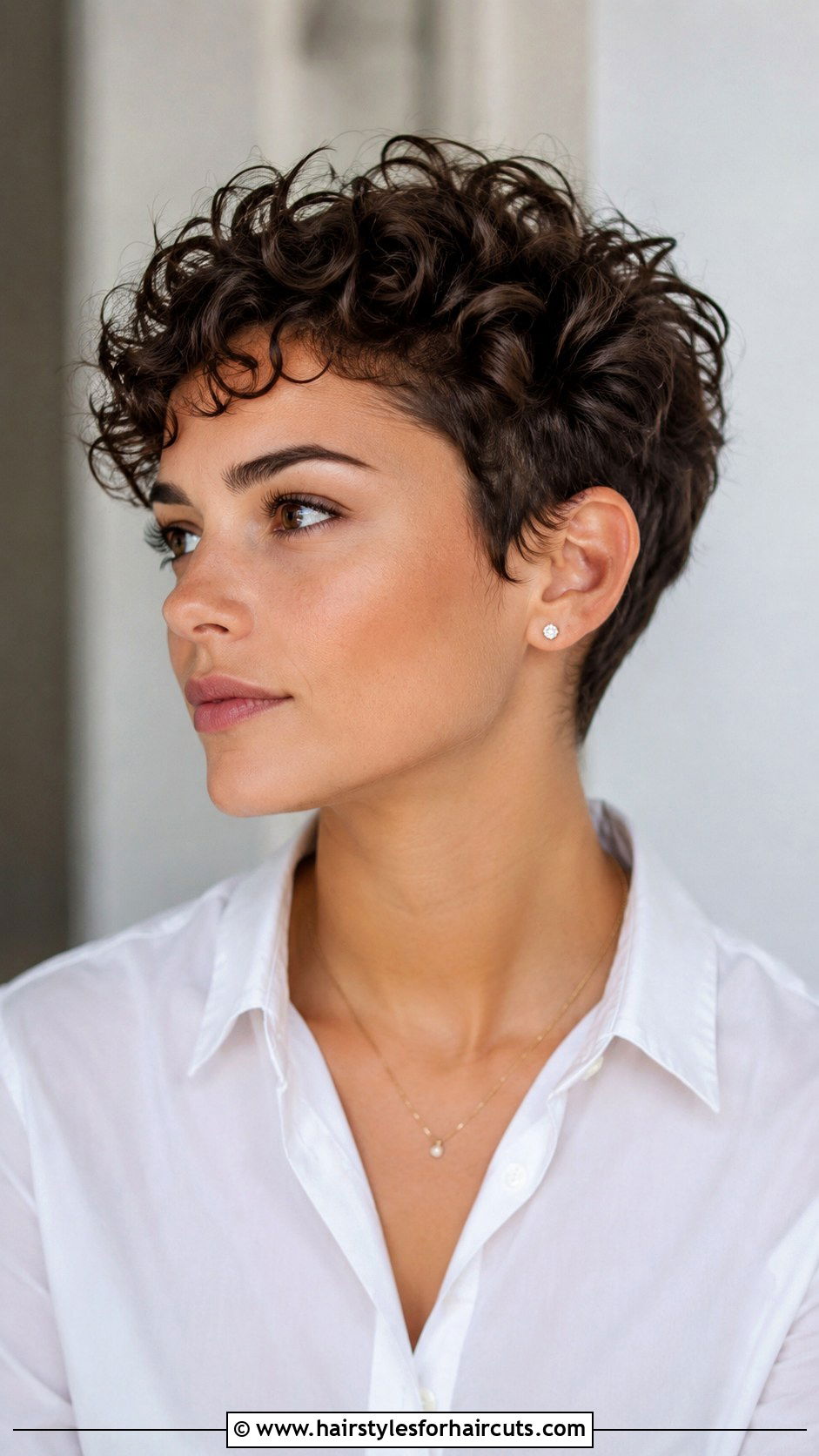 Curly Pixie Cut - 25 professional hairstyles curly hair - 25 professional hairstyles curly hair