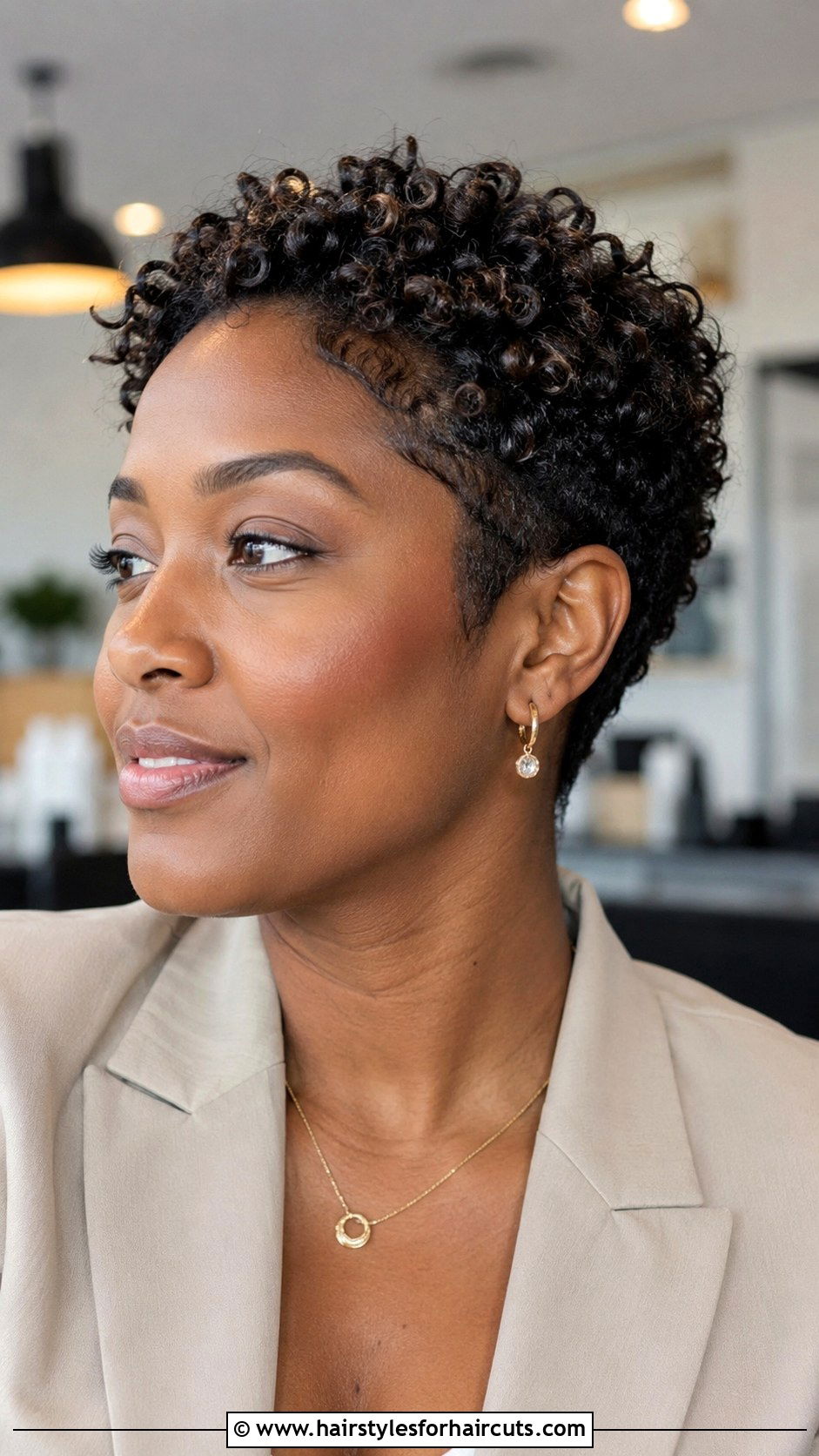 Curly Pixie Cut - 25 black hairstyles for curly hair - 25 black hairstyles for curly hair