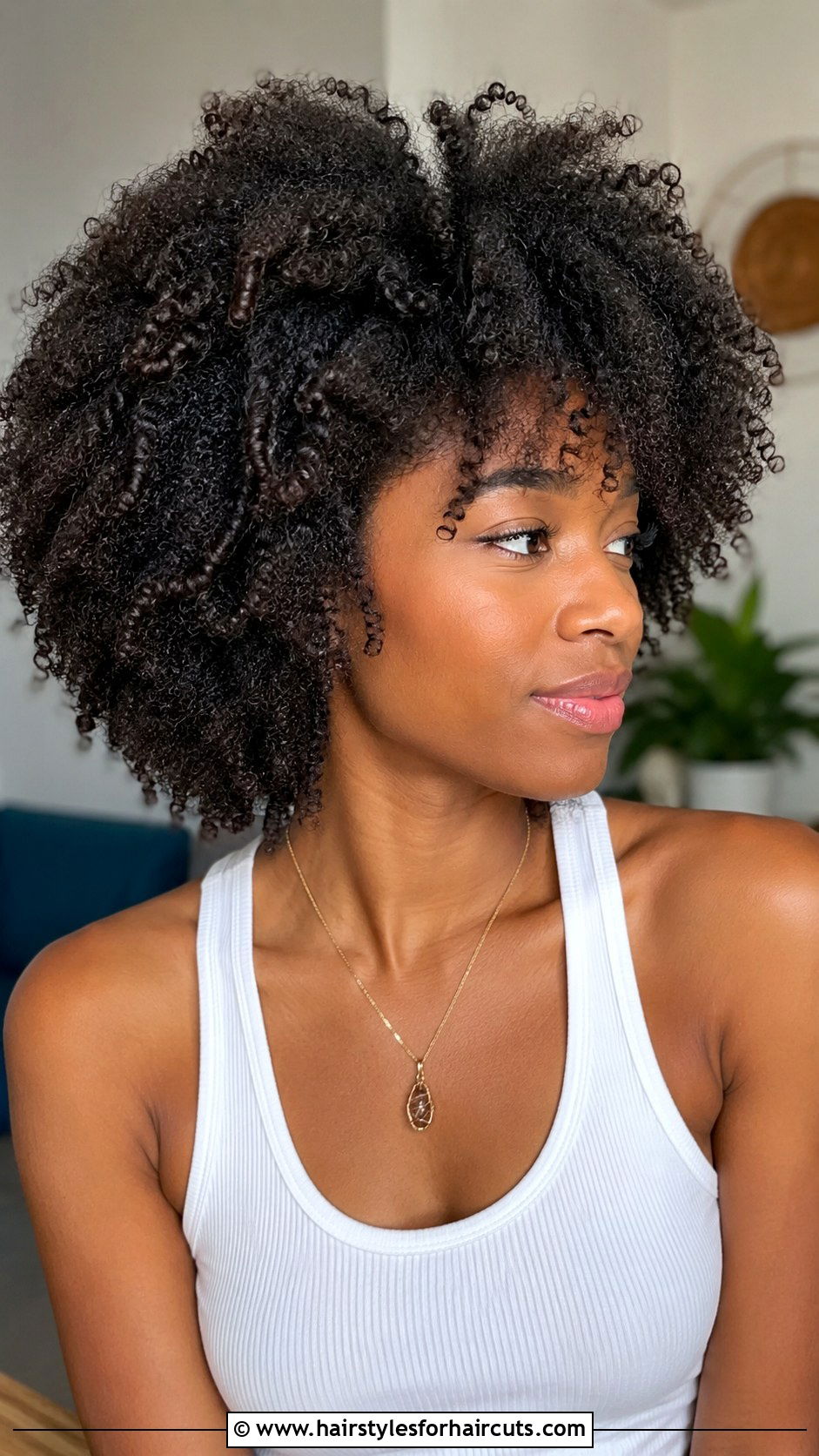 Curly Pixie Cut - 25 haircuts for black women with natural hair - 25 haircuts for black women with natural hair