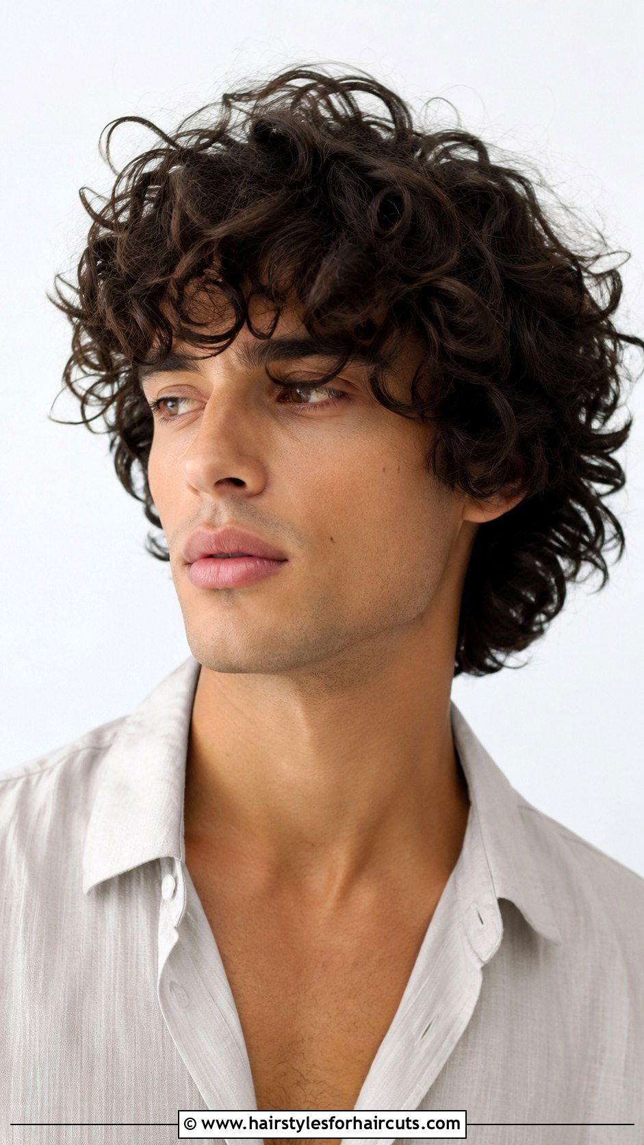 Curly Shag - 25 1960s hairstyles men - 25 1960s hairstyles men