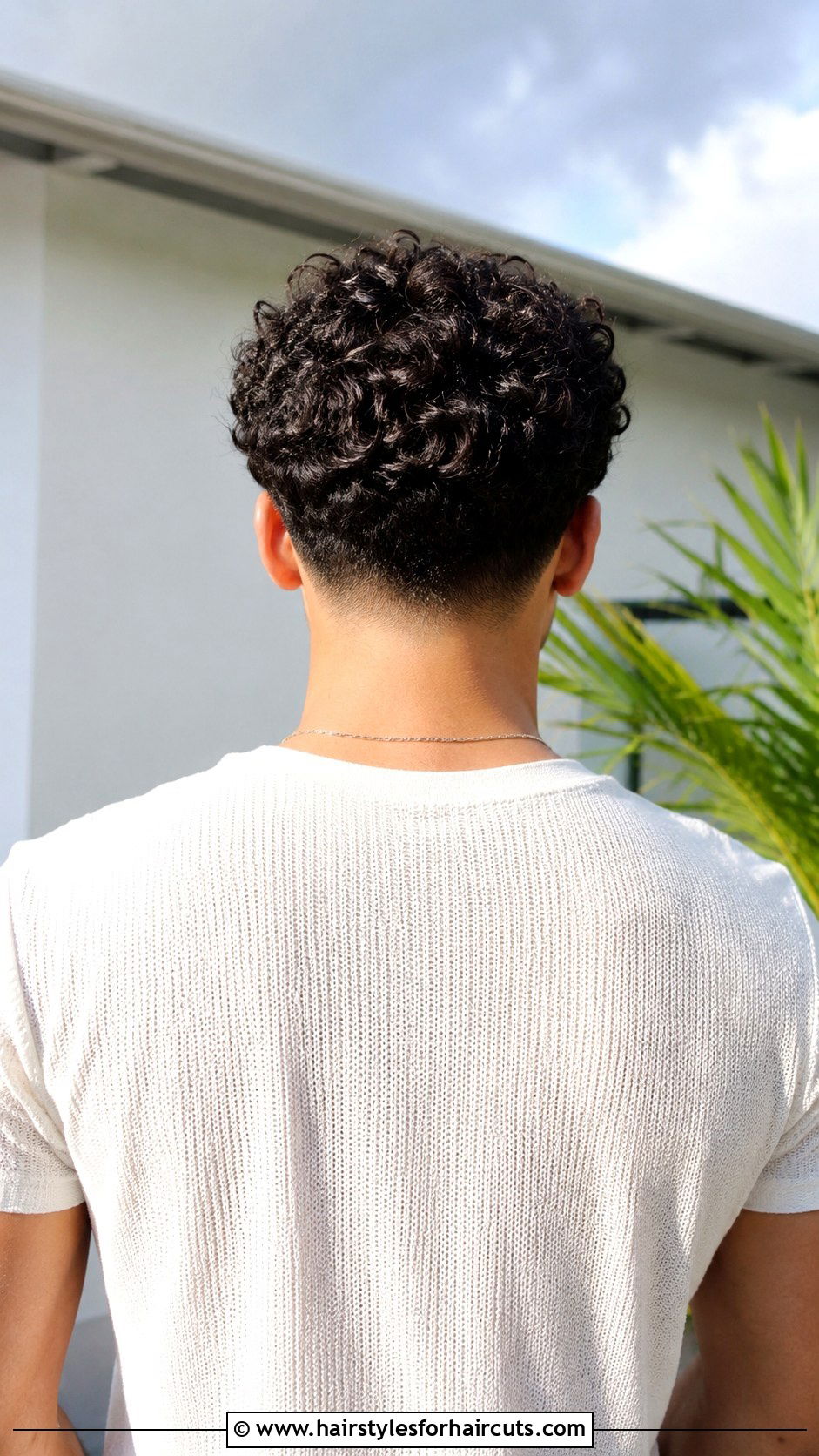 Curly Taper Fade Back - 25 back side hairstyles for man - 25 back side hairstyles for man