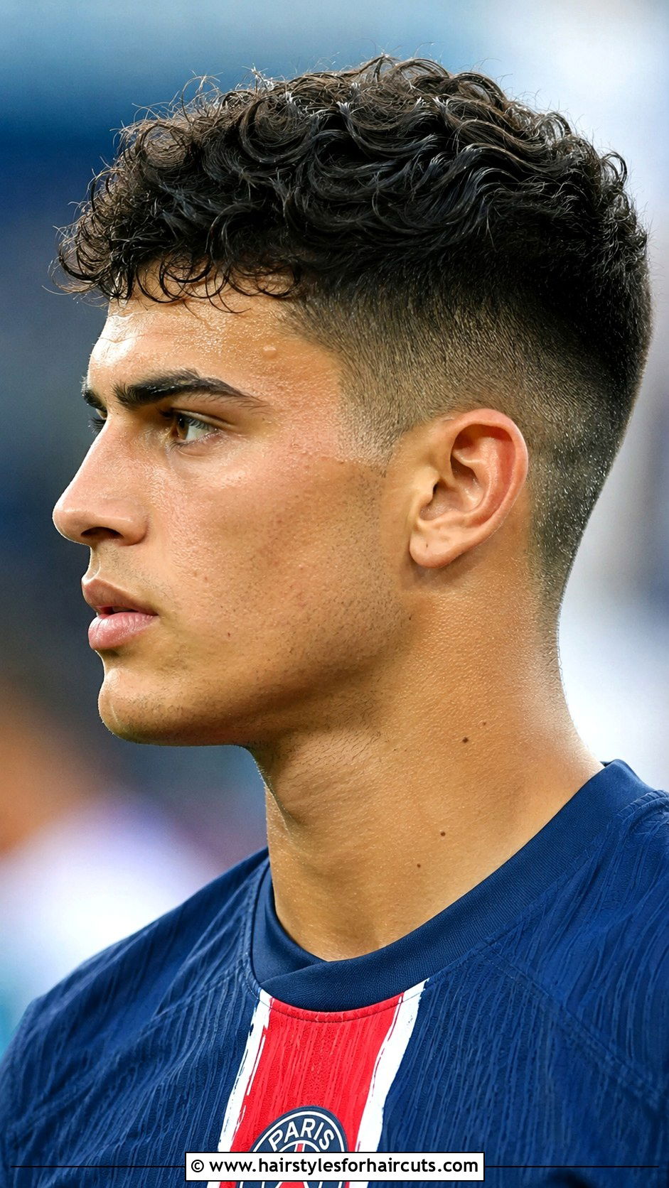 Curly Two Block Buzzed Sides - 25 2 block haircuts curly hair - 25 2 block haircuts curly hair