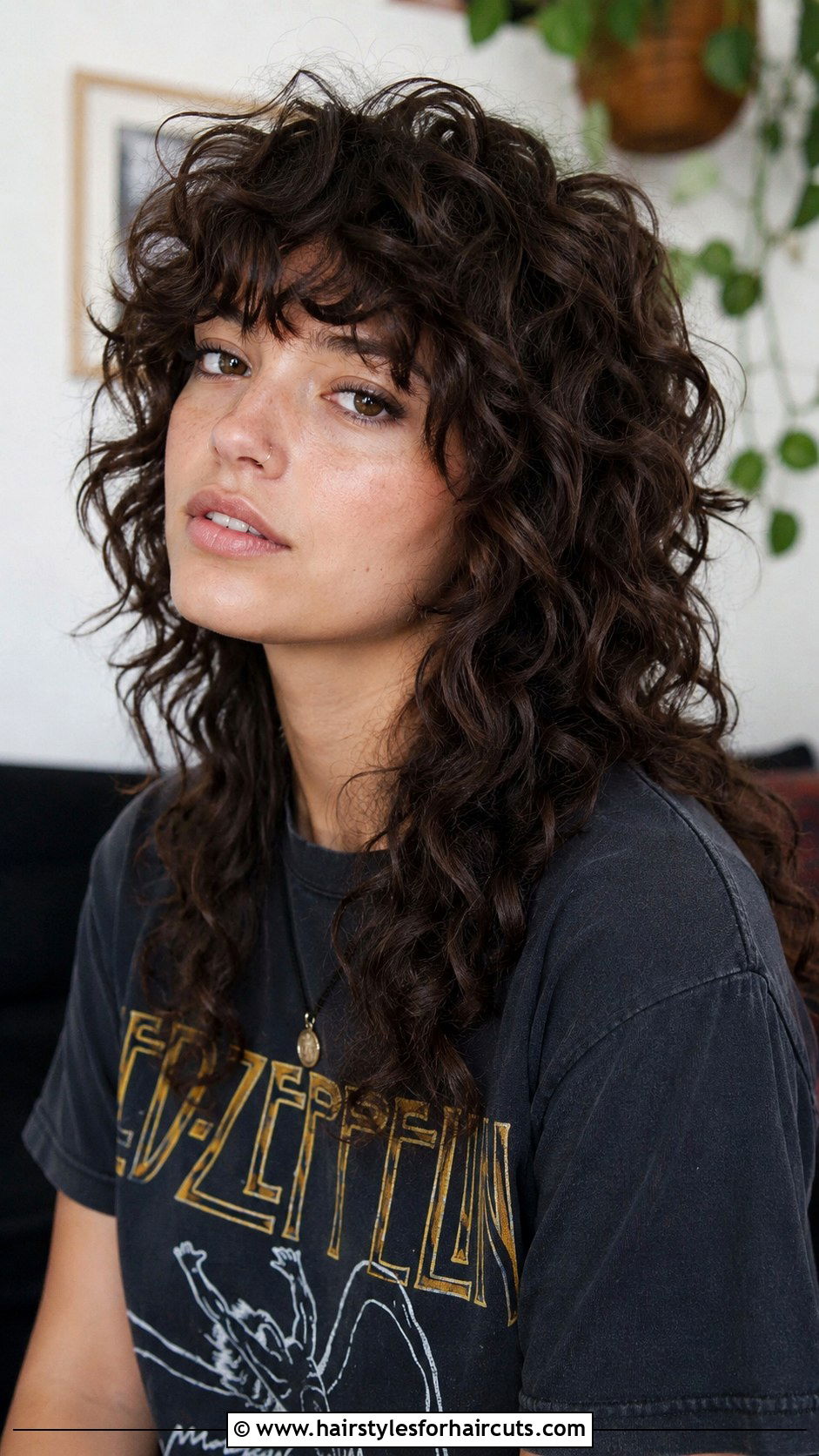 Curly Wolf Cut - 25 haircuts for women with thick curly hair - 25 haircuts for women with thick curly hair