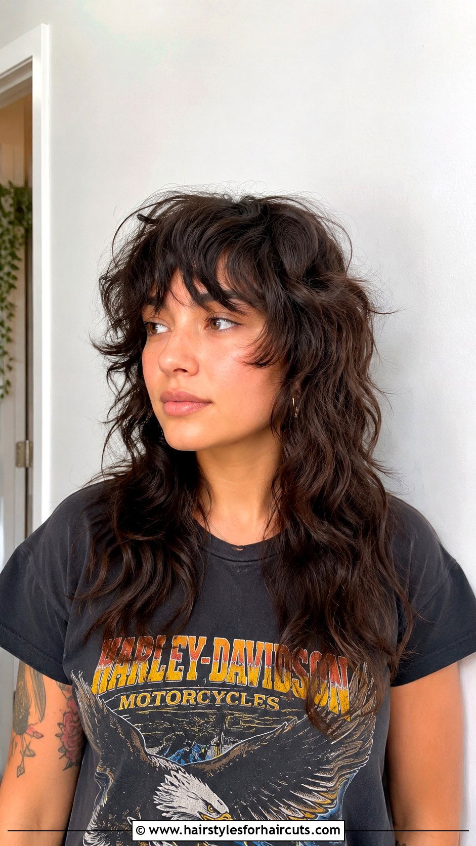 Curly Wolf Cut - 25 3 haircuts - 25 3 haircuts