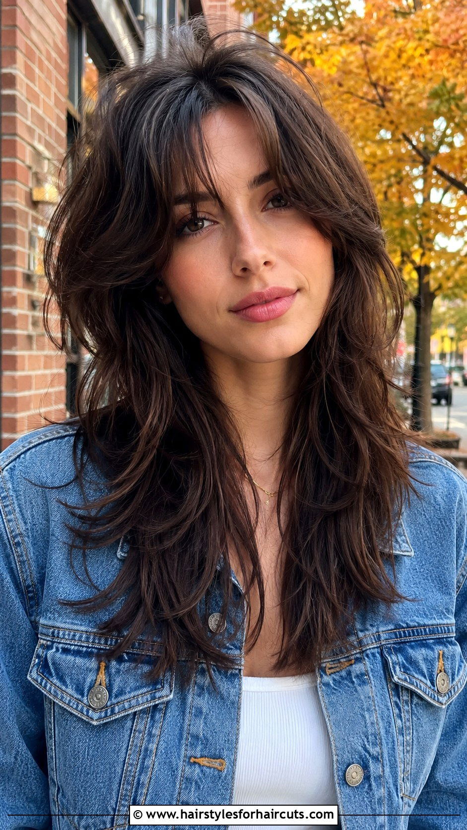 Curtain Bang Shag Haircut - 25 bang haircuts for thin hair - 25 bang haircuts for thin hair