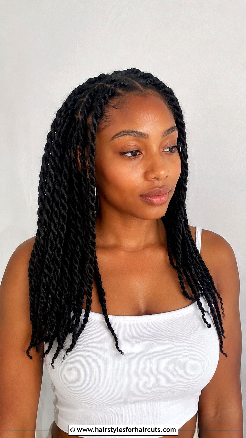Double Dutch Braids - 25 5 minute hairstyles - 25 5 minute hairstyles