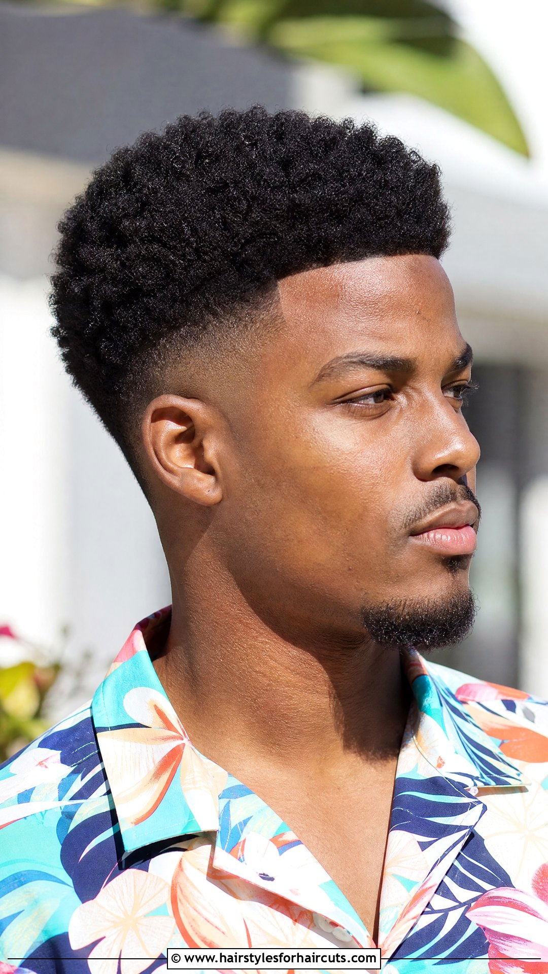 Drop Fade Afro - 25 drop fade haircuts - 25 drop fade haircuts