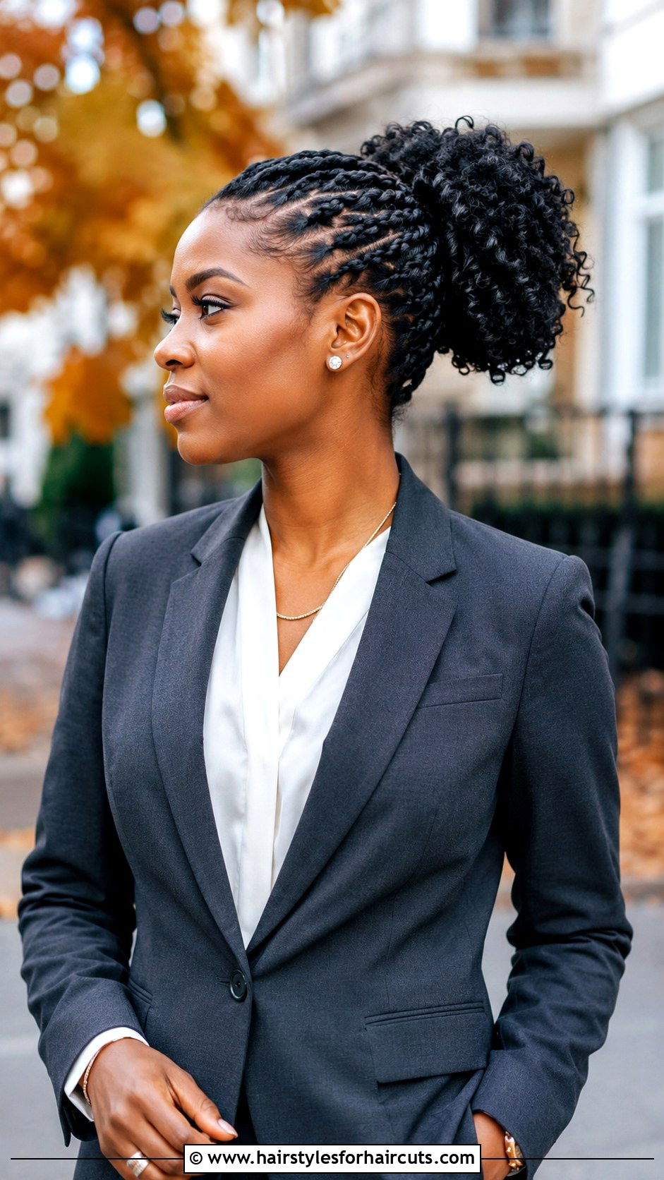Flat Twists Into Afro Ponytail - 25 afro hair hairstyles - 25 afro hair hairstyles