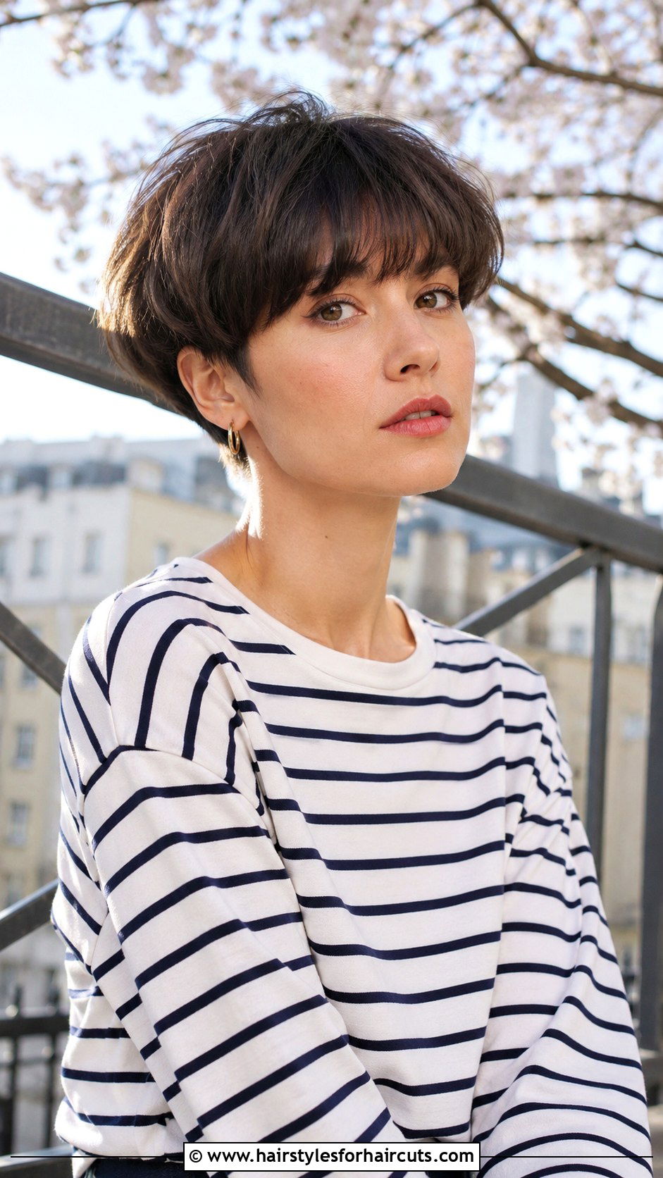 French Bowl Cut - 25 acorn haircuts - 25 acorn haircuts