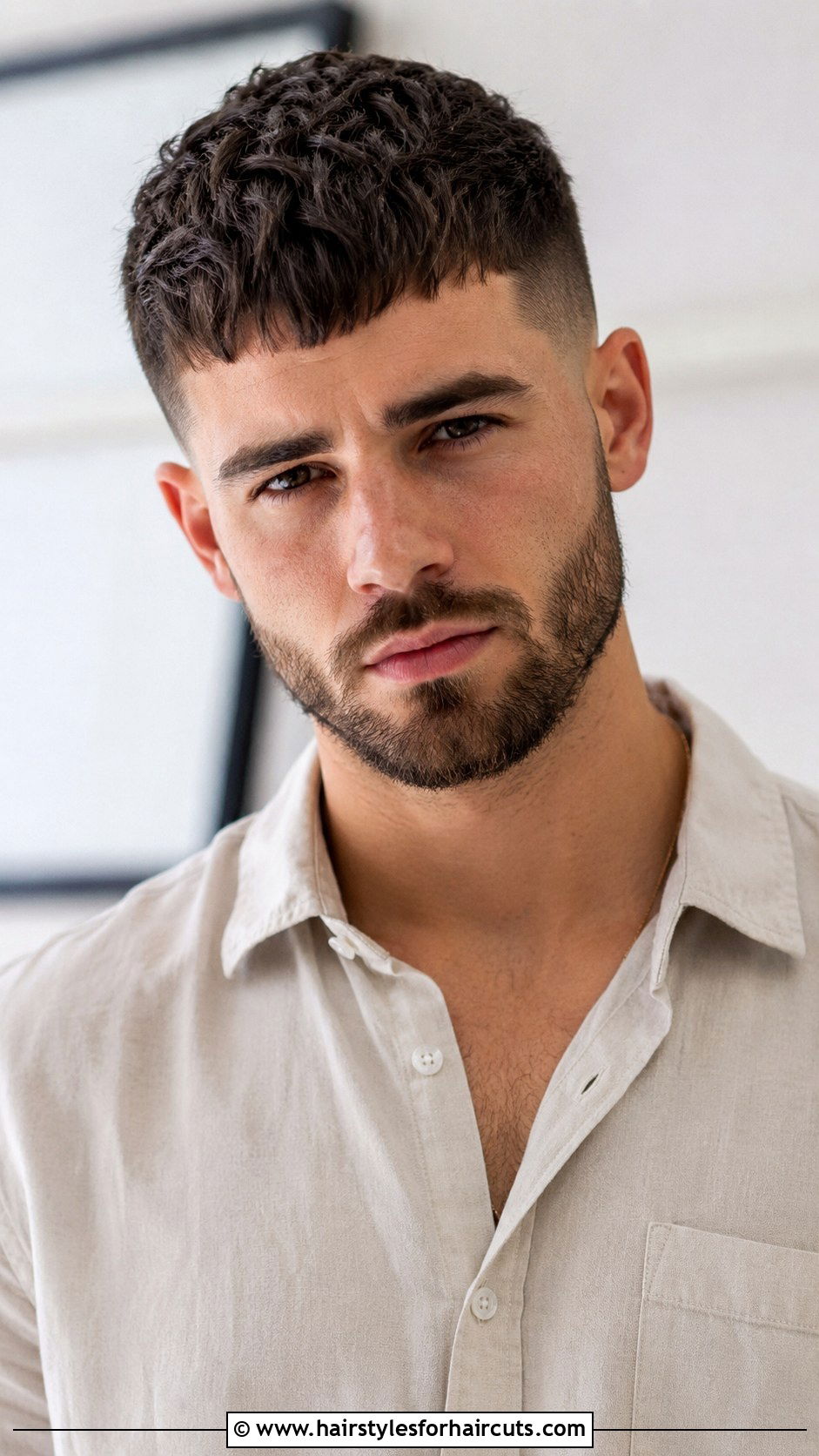French Crop With Beard - 25 bear haircuts - 25 bear haircuts