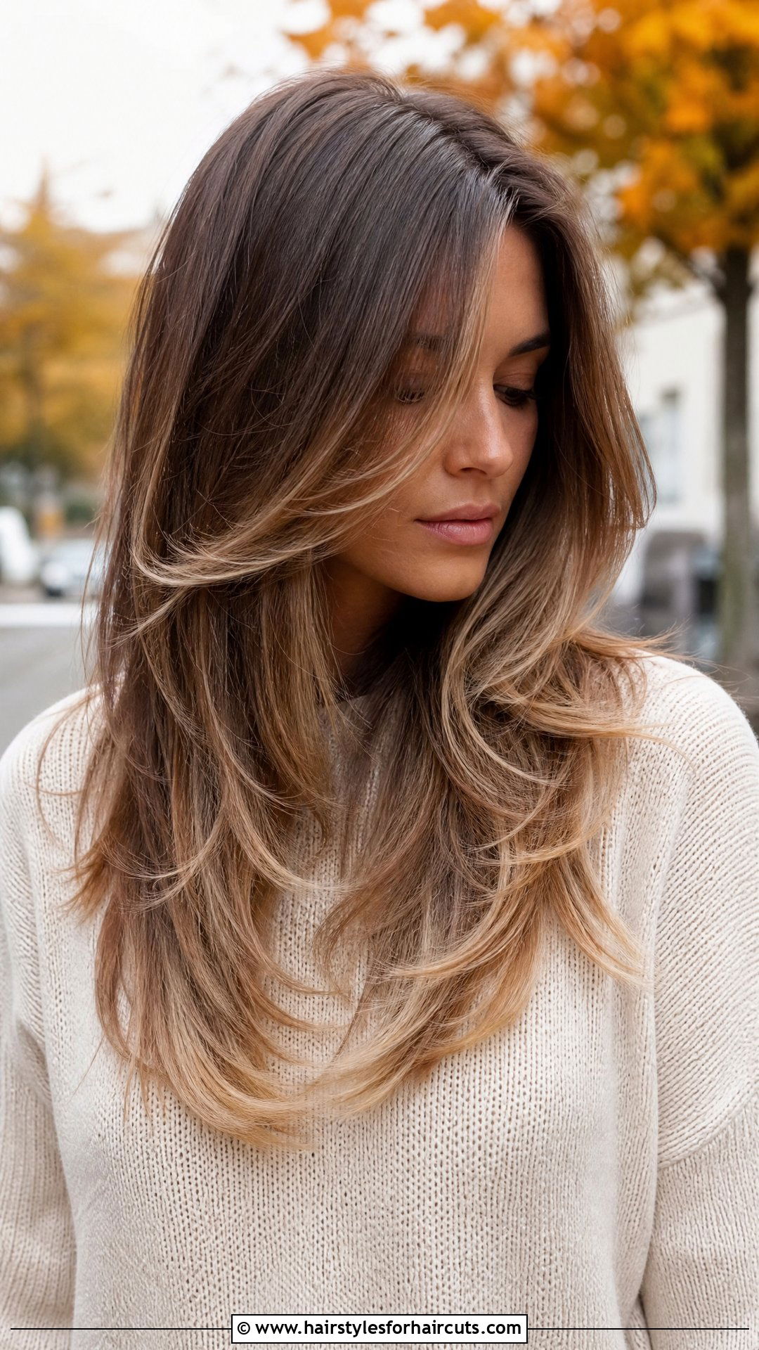 Frosted Long Layers - 25 frosted hairstyles - 25 frosted hairstyles