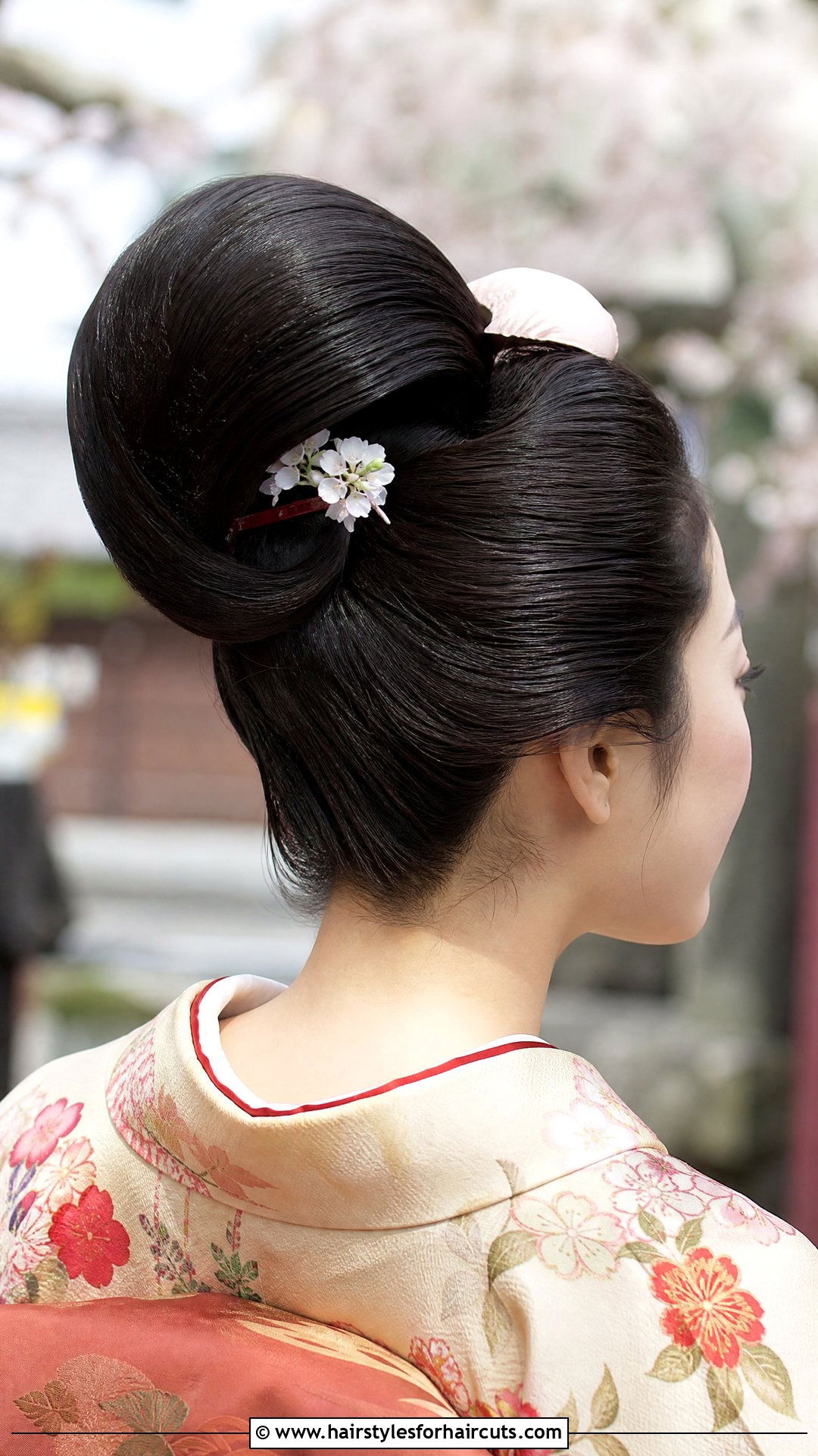 Geisha Shimada Updo - 25 rarest hairstyles - 25 rarest hairstyles