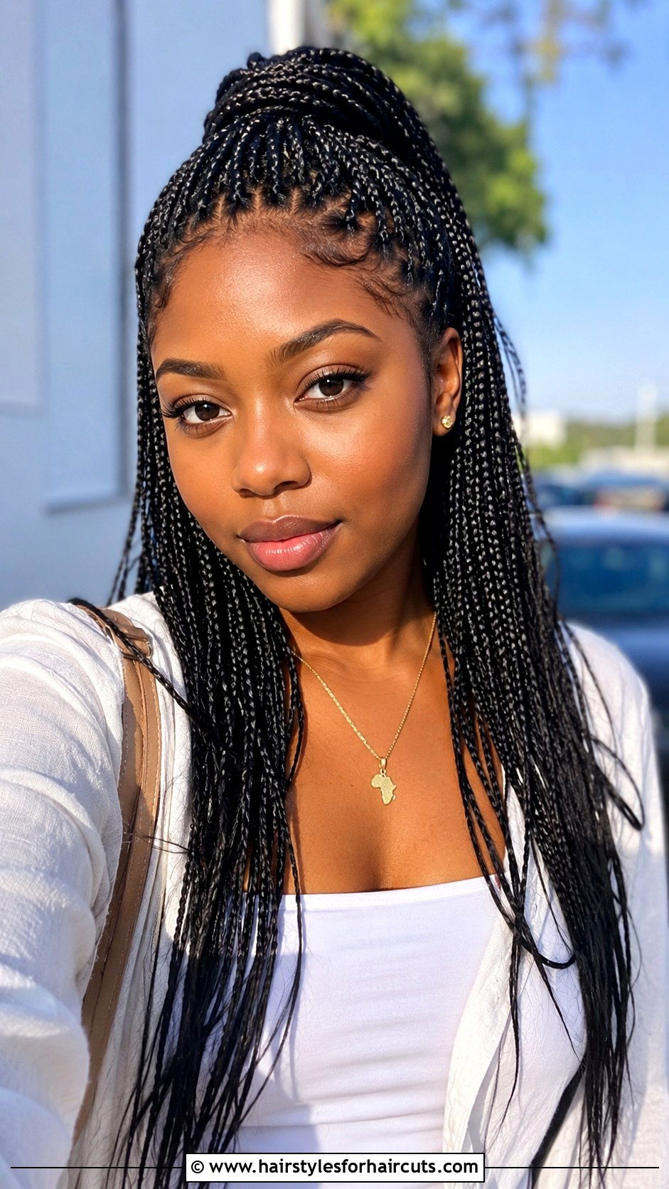 Half Up Half Down Box Braids - 25 box braid hairstyles - 25 box braid hairstyles