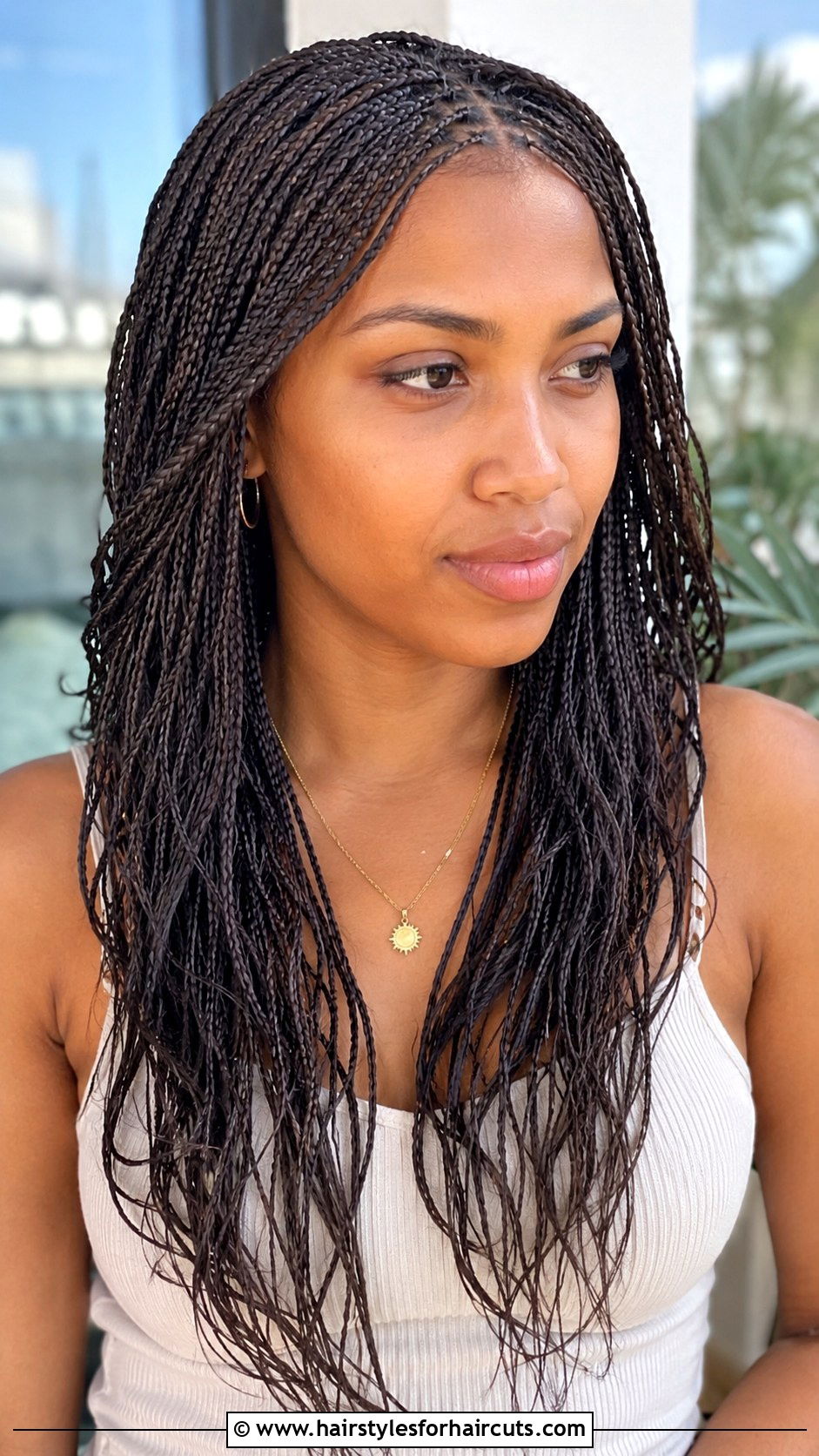 Havana Micro Braids - 25 cuban hairstyles - 25 cuban hairstyles