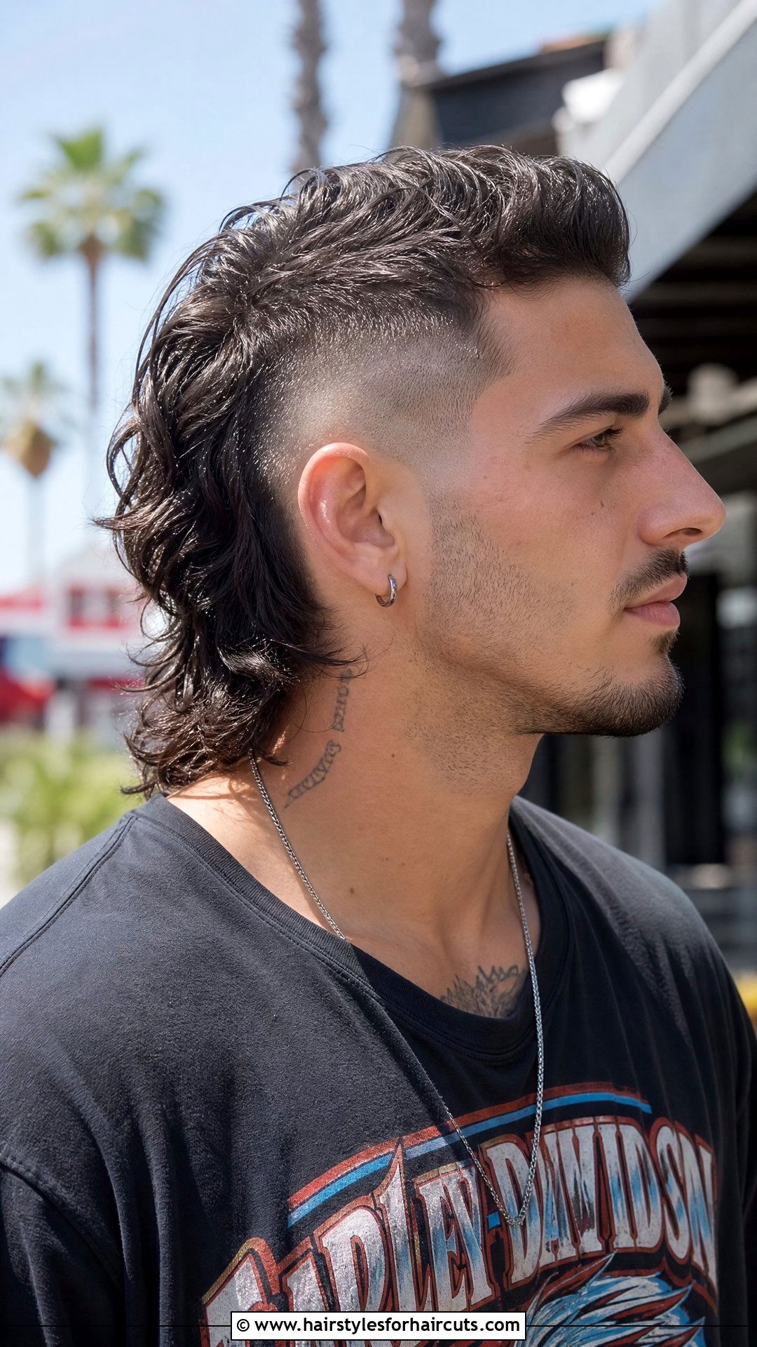 Horseshoe Mullet - 25 weird haircuts - 25 weird haircuts
