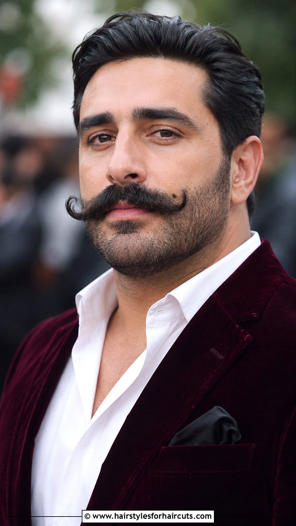 Imperial Mustache - 25 facial hairstyles chart - 25 facial hairstyles chart