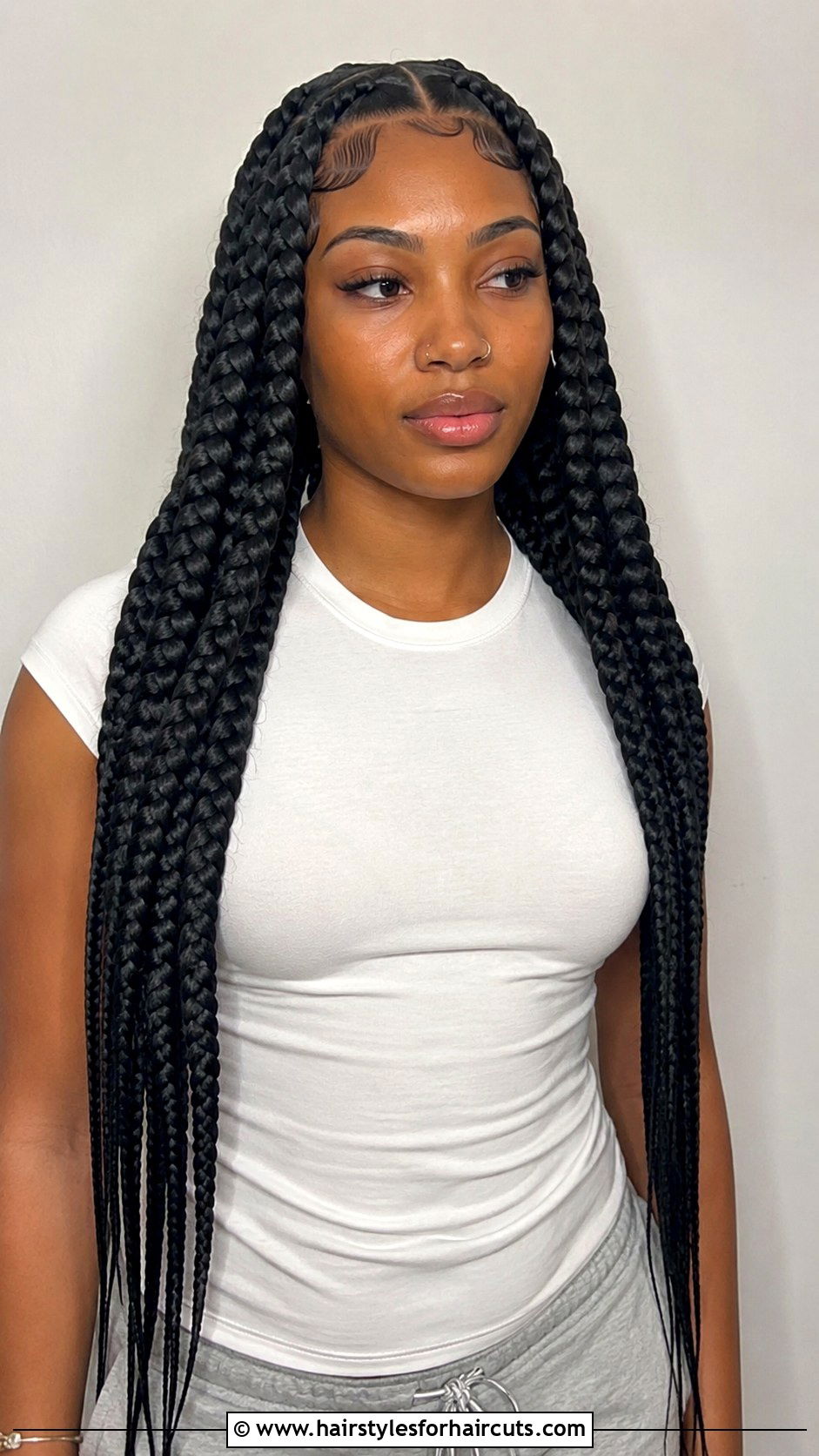 Jumbo Box Braids - 25 african braid hairstyles - 25 african braid hairstyles